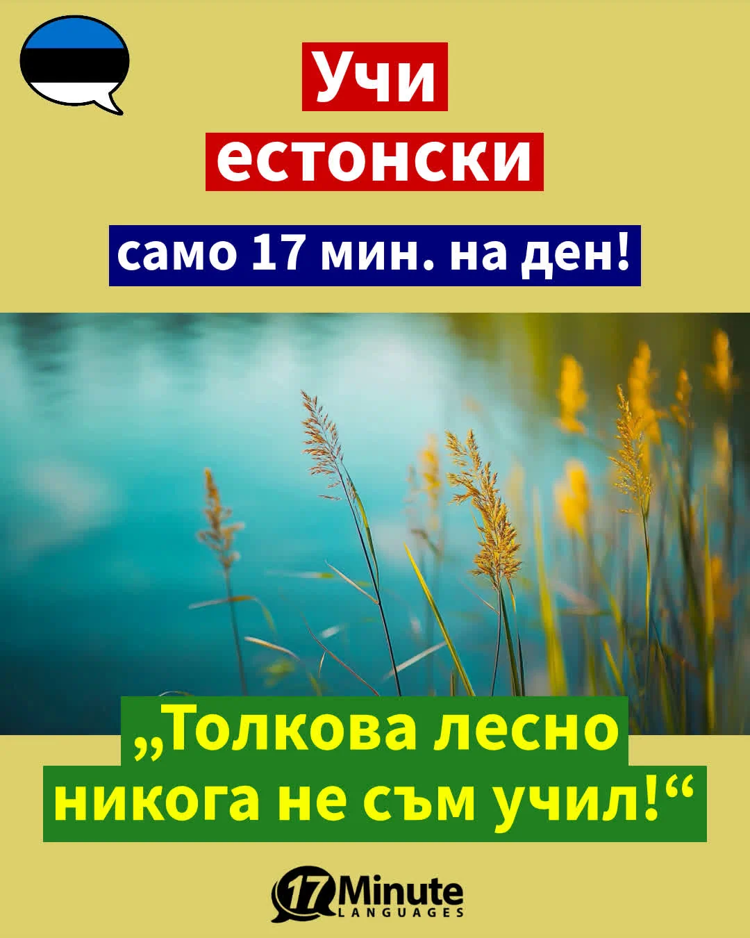 Естонски език за напреднали: Научете се да говорите свободно естонски език с този курс! – daily learning