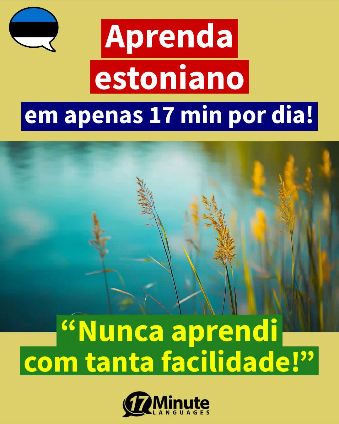 Mudando-se para a Estônia: vocabulário específico para sua mudança de vida! – aprendizado diário