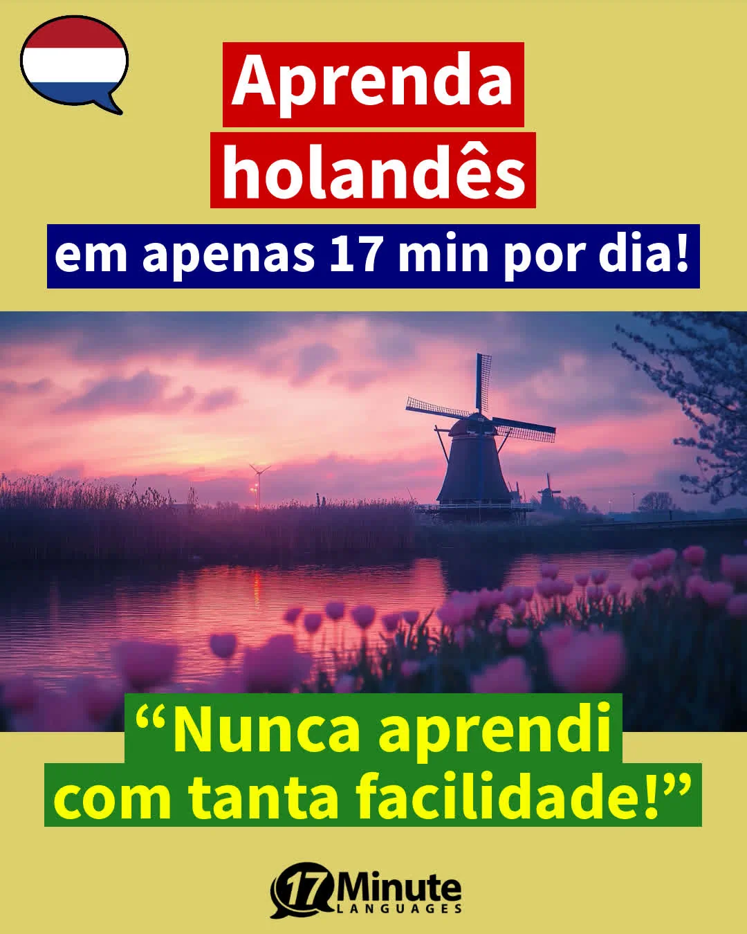 Prepare-se com o curso intermediário de holandês para falar e compreender com fluência! – aprendizado diário