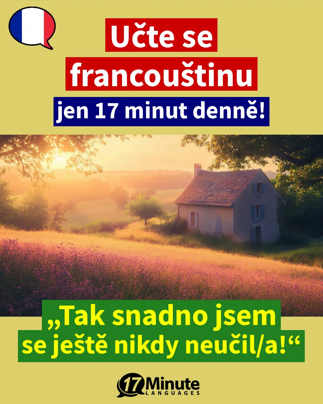 Obchodní kurz francouzštiny + B2-C2 + bez předplatného (2026) – daily learning