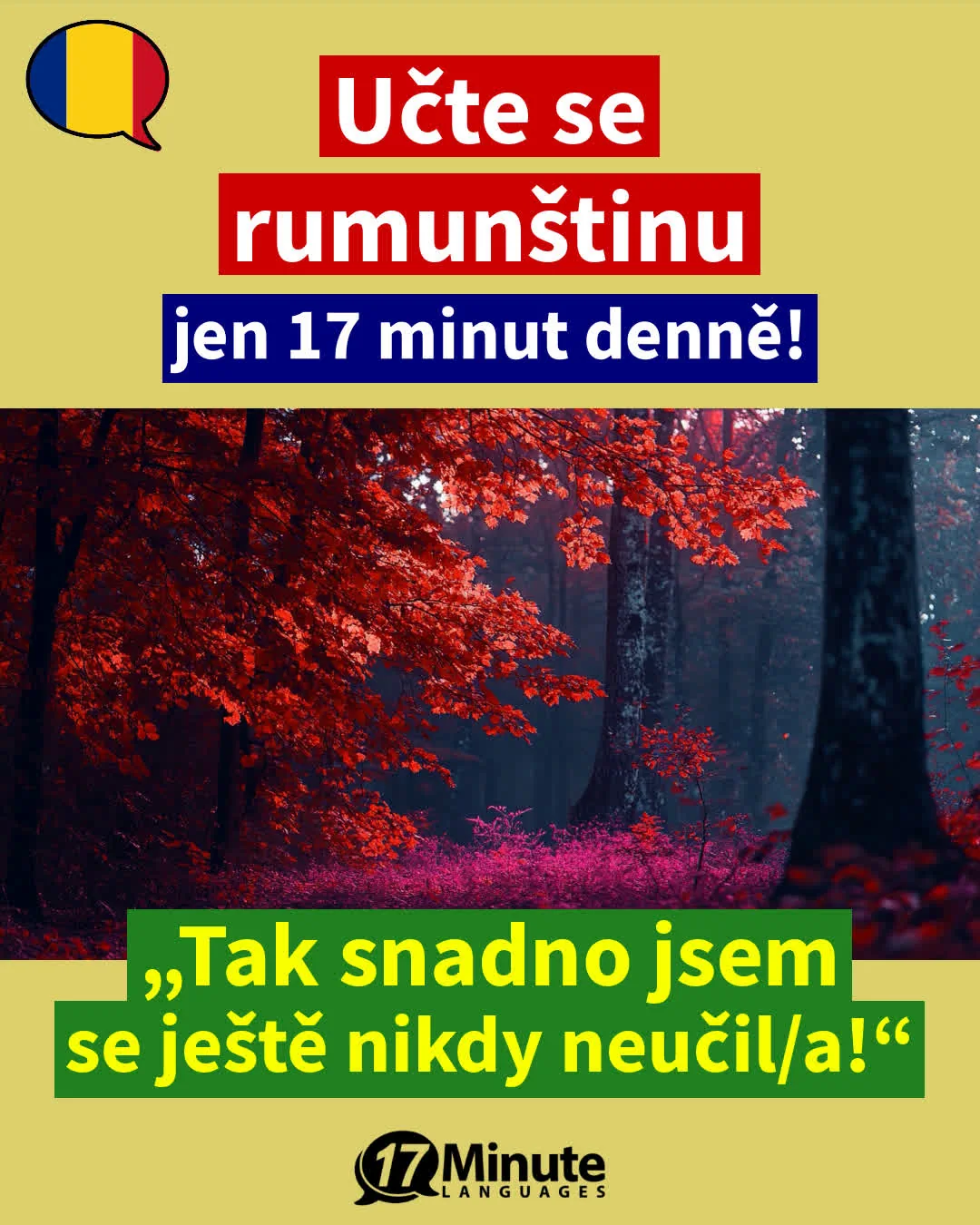 Výuka rumunštiny pro pokročilé: učte se v kurzu plynule mluvit rumunsky! – daily learning