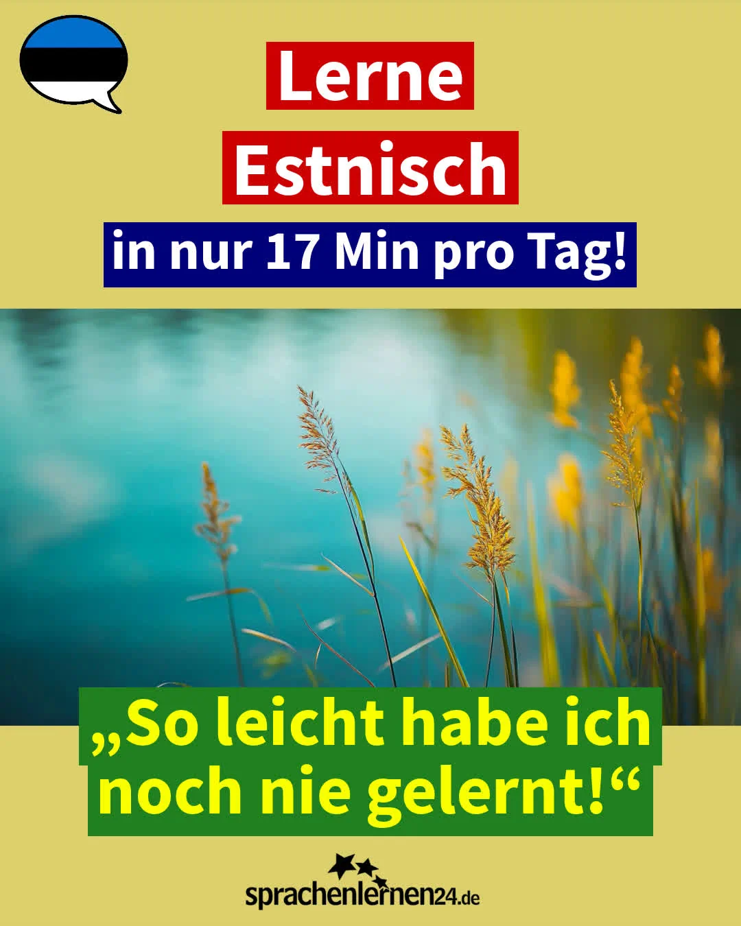 Business-Estnisch – täglich lernen