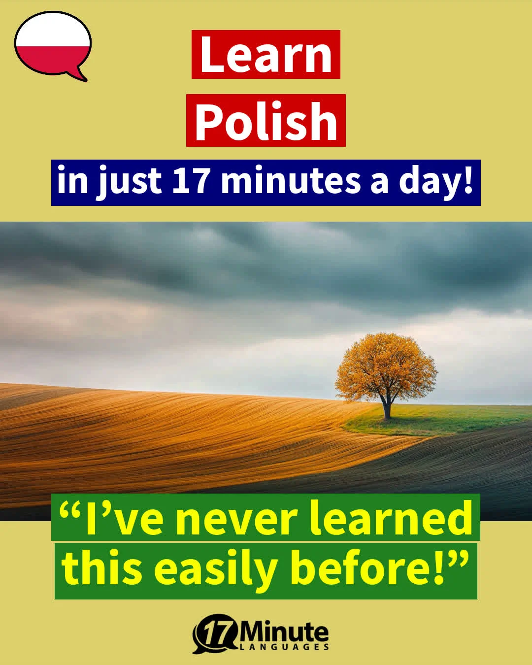 Learn fluent business Polish! – daily learning