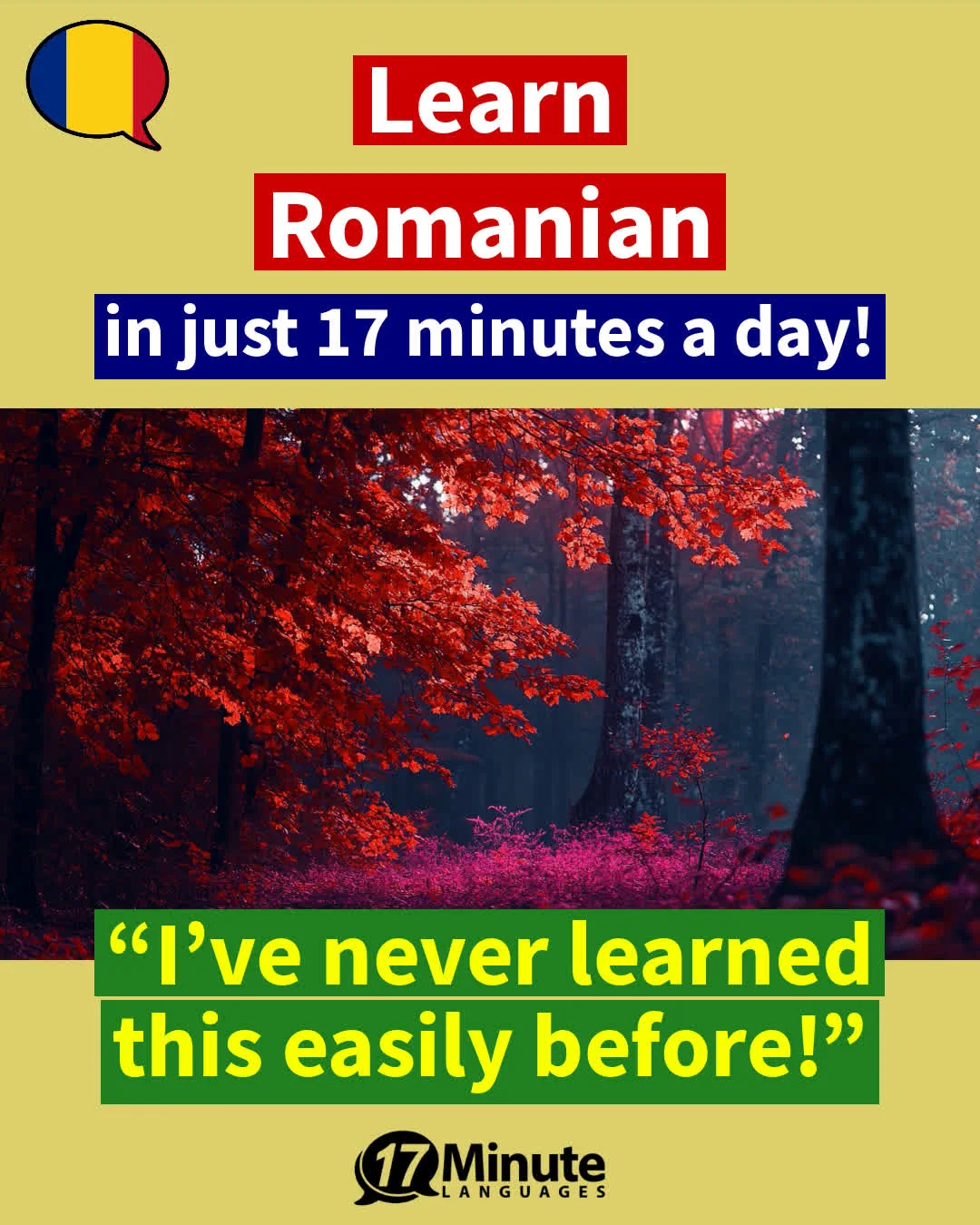 Learn Romanian targeted to those who have an interest or hobby involving nature or geography. A fast and fun way to learn vocabulary sorted by areas specific to nature and geography. – daily learning