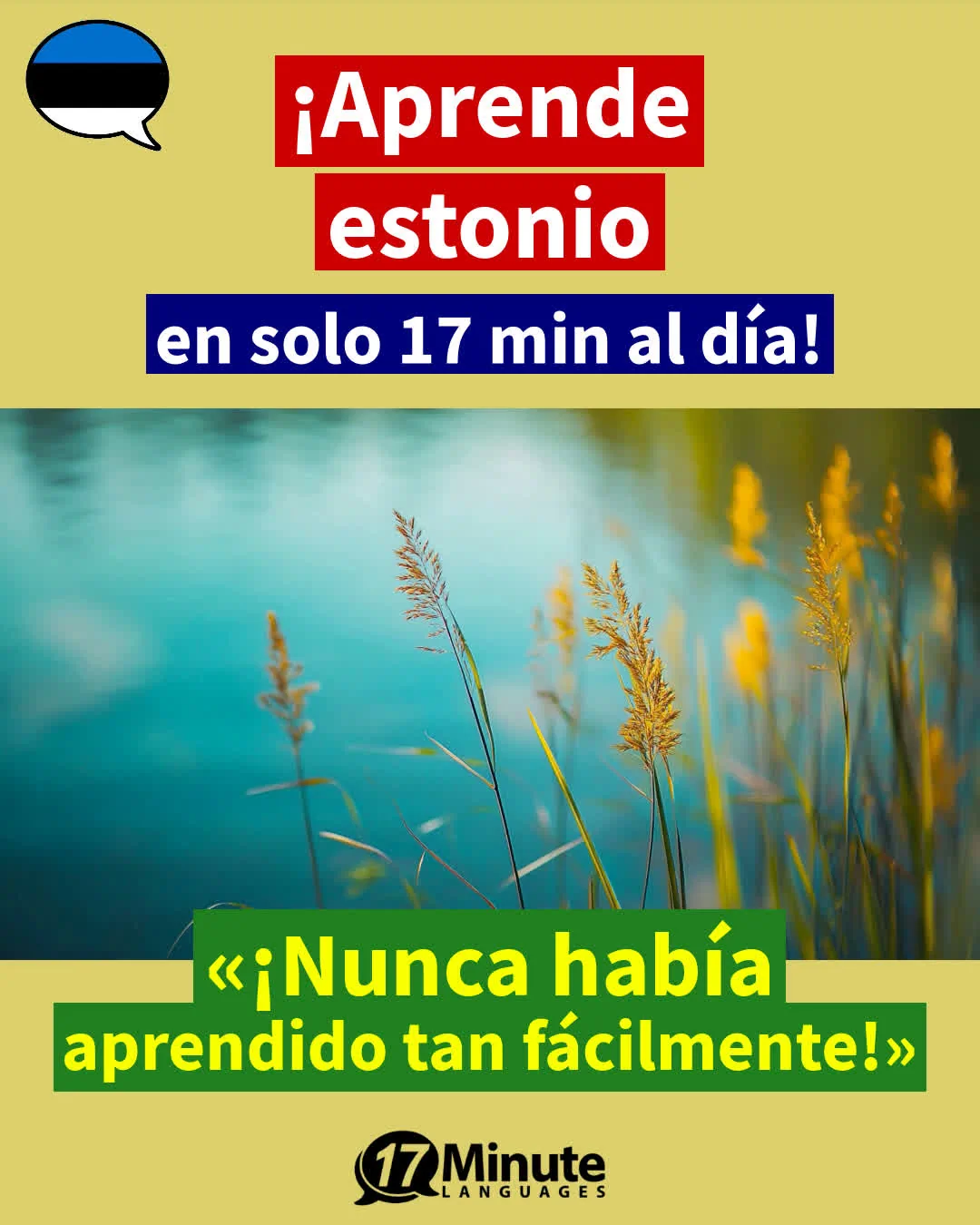  Con el entrenador de vocabulario especializado aprendes más de 2.100 palabras en estonio y alcanzas el nivel de un hablante nativo C1/C2﻿ – aprendizaje diario