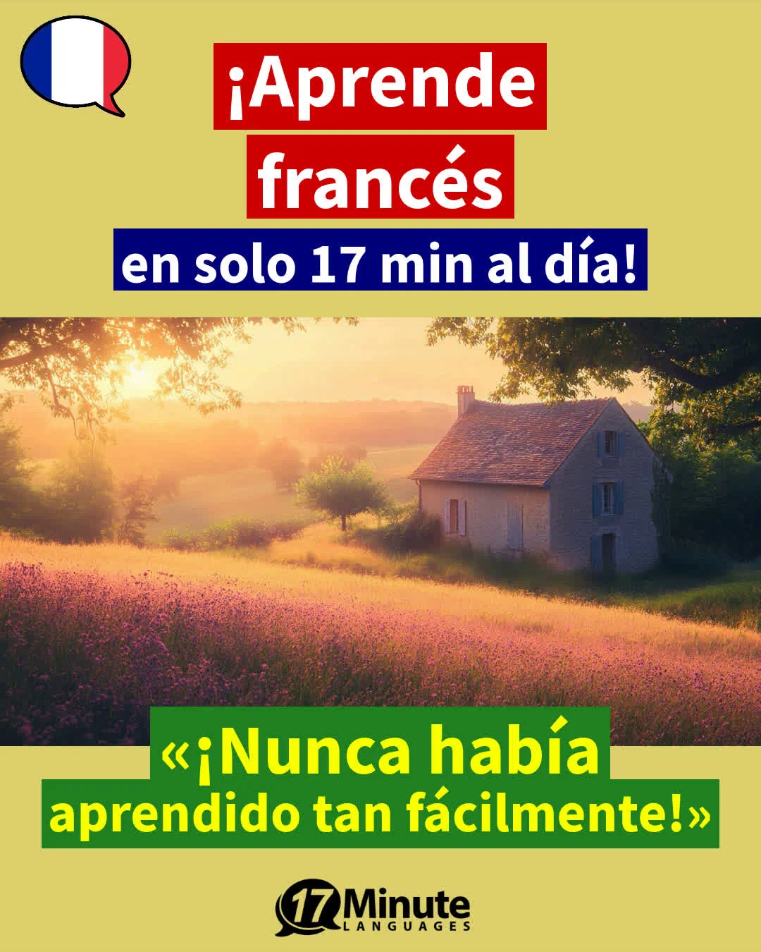 Francés para estudiantes avanzados: « ¡Aprende a hablar francés con fluidez con este curso avanzado! – aprendizaje diario