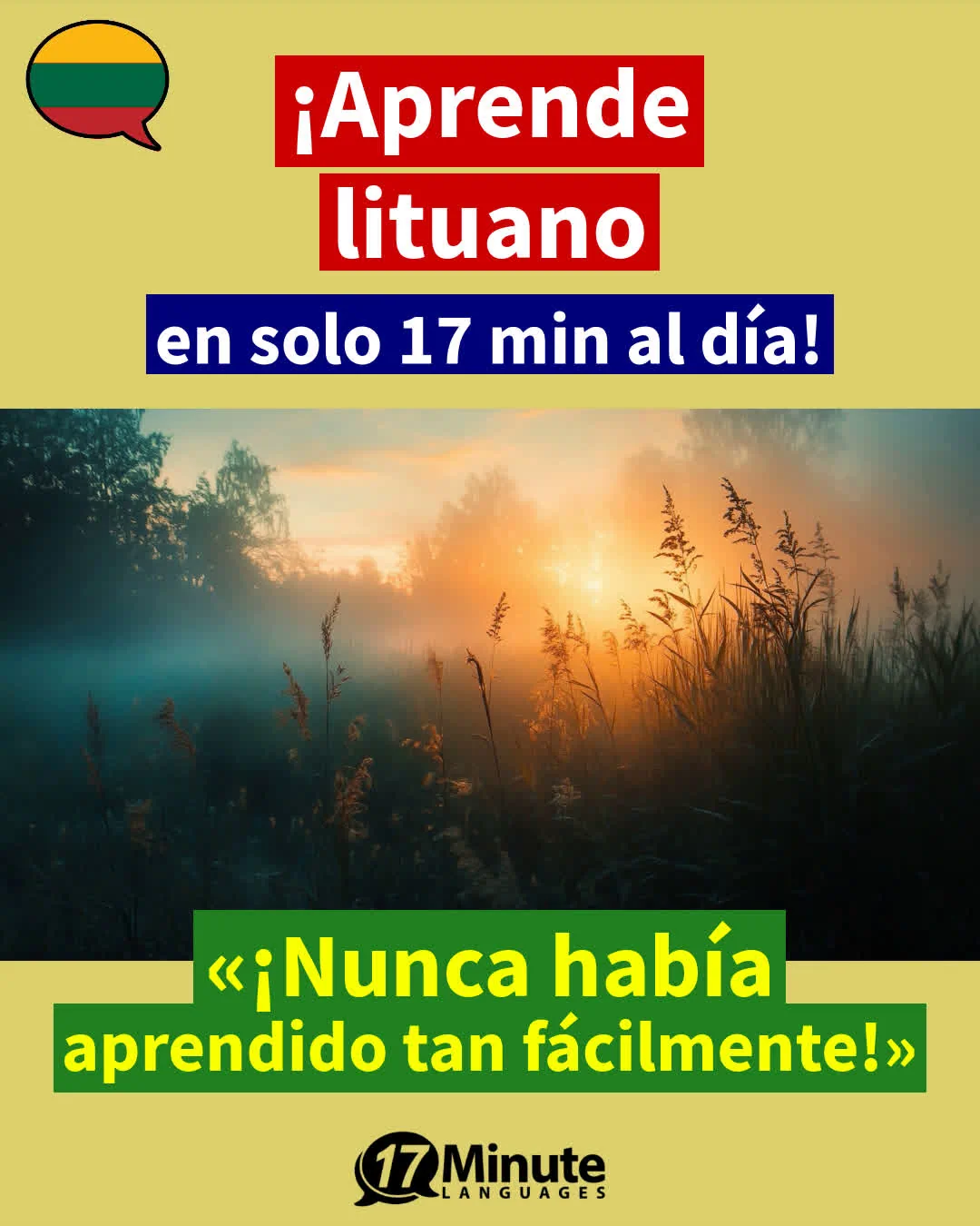  Con el entrenador de vocabulario especializado aprendes más de 2.100 palabras en lituano y alcanzas el nivel de un hablante nativo C1/C2﻿ – aprendizaje diario