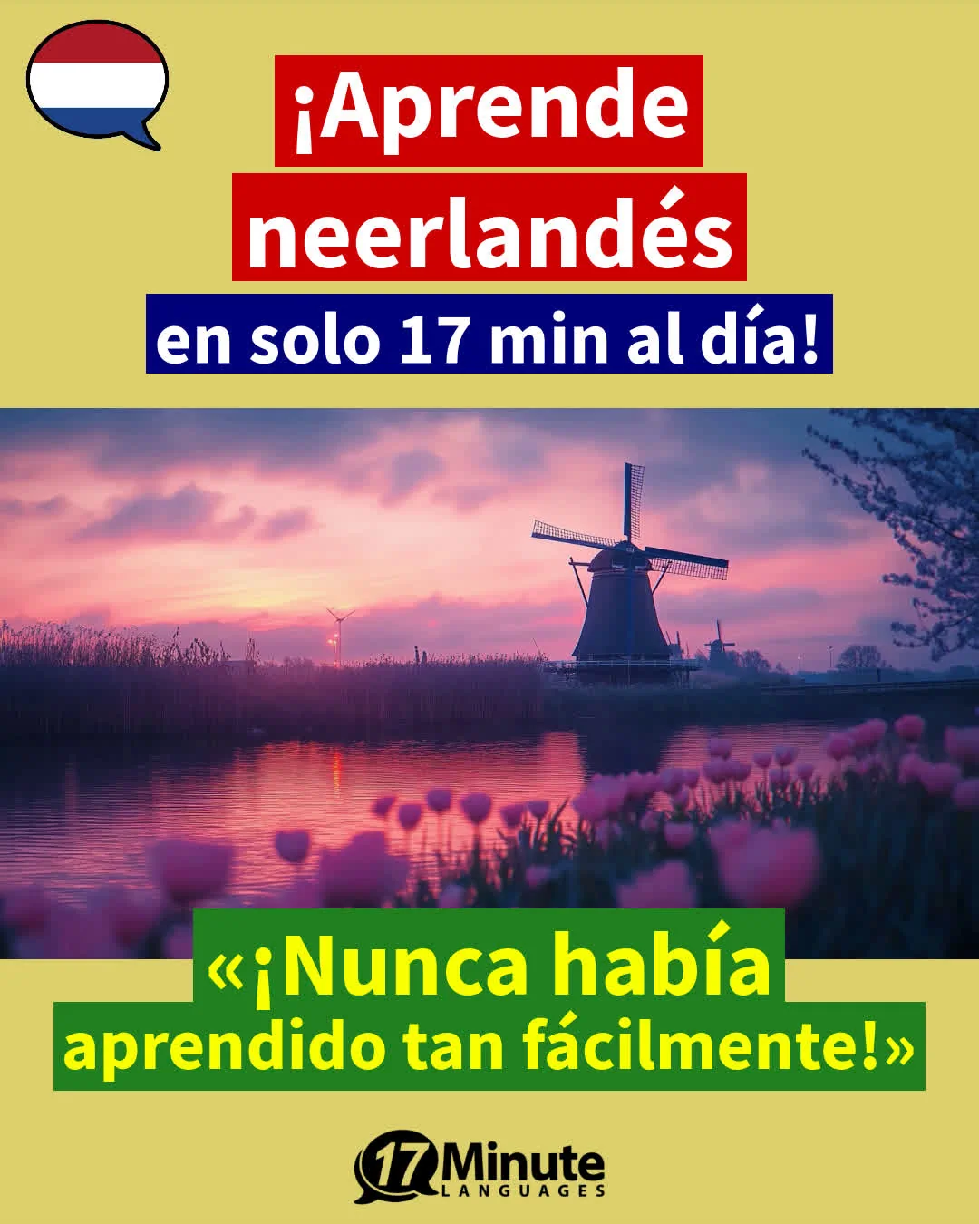 La preparación ideal para todos aquellos, que quieran ir a países Bajos para trabajar de au pair. – aprendizaje diario