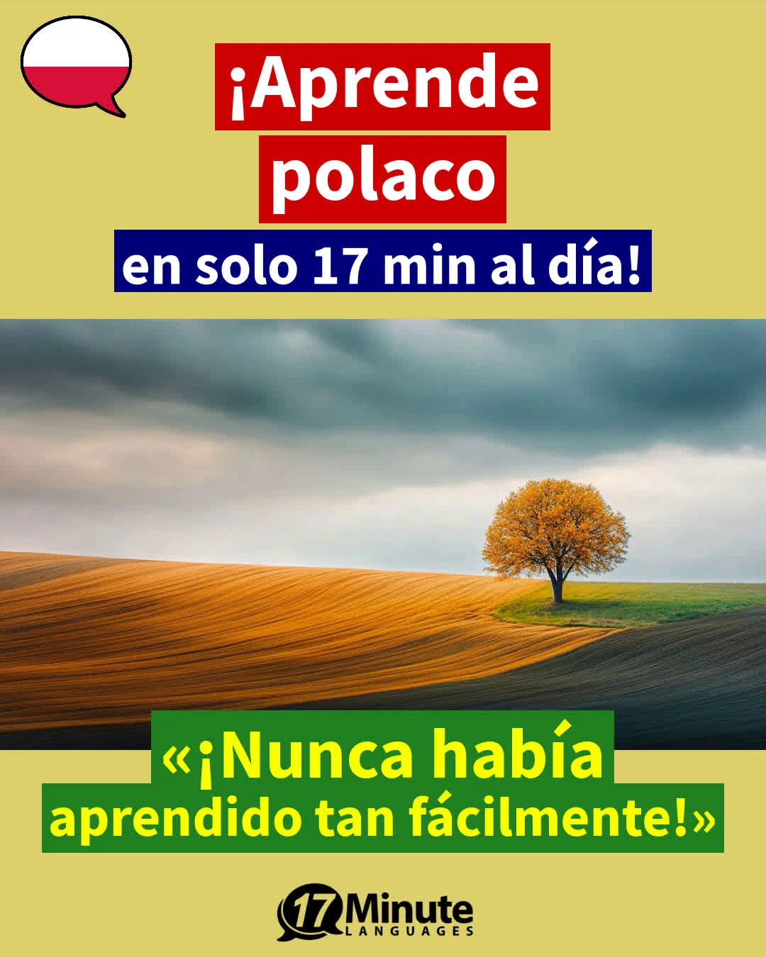 Ayuda indispensable para aquellos que quieran irse a vivir a Polonia – aprendizaje diario