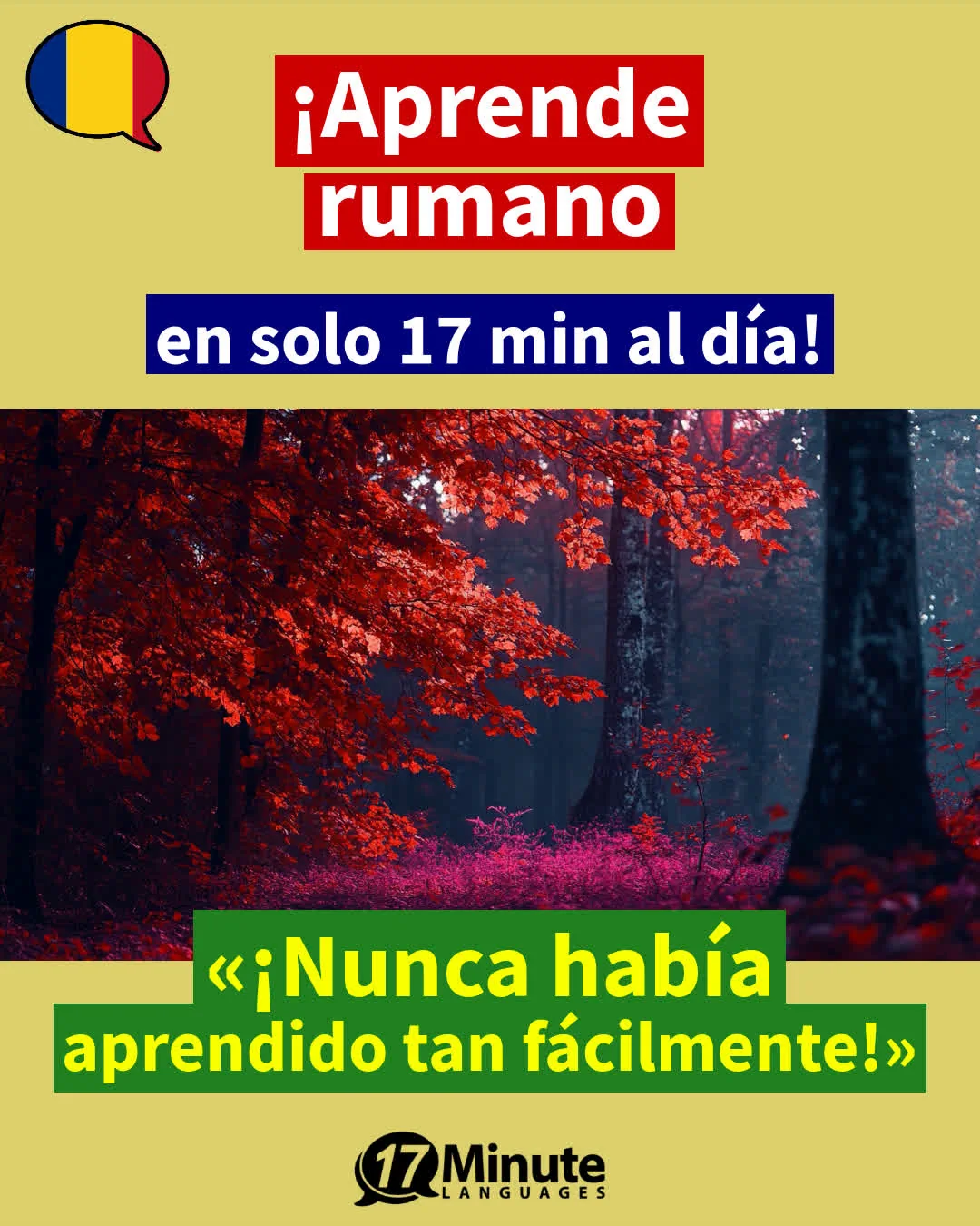 ¡Aprende rumano para los negocios con fluidez! – aprendizaje diario