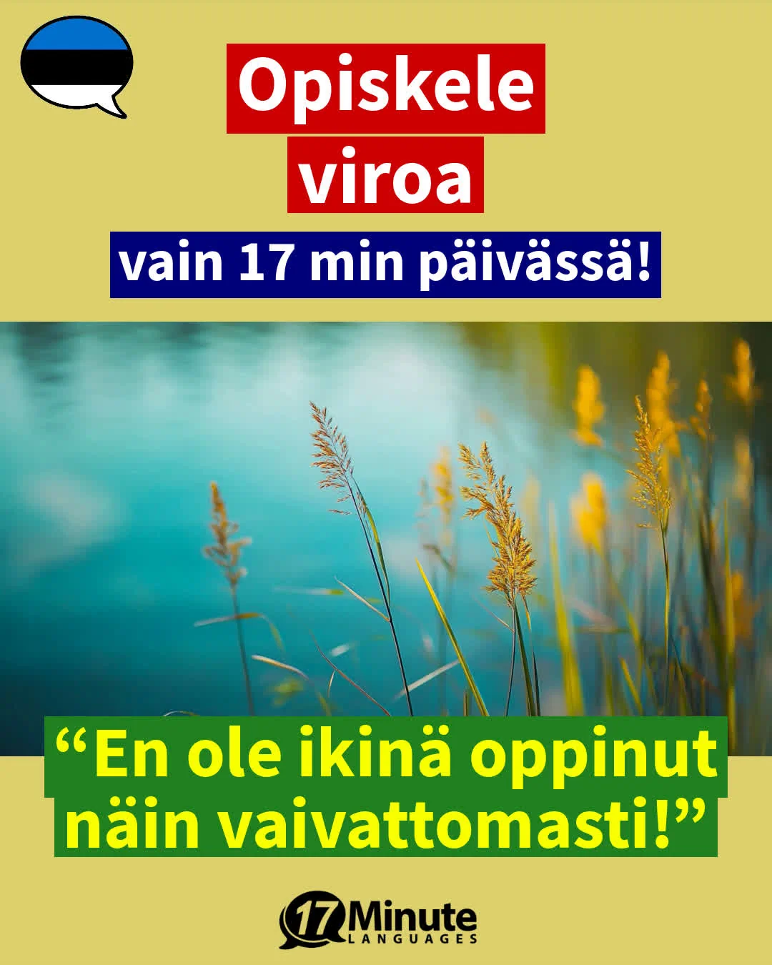 Muutto Viroon: Erikoissanasto ja sanastoharjoitus muuttajalle – daily learning
