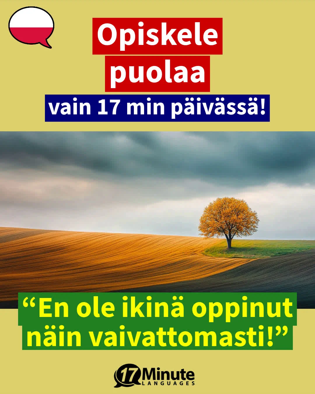 Opi itsevarma Business puolan kielen taito ja pääset urallasi eteenpäin! – daily learning