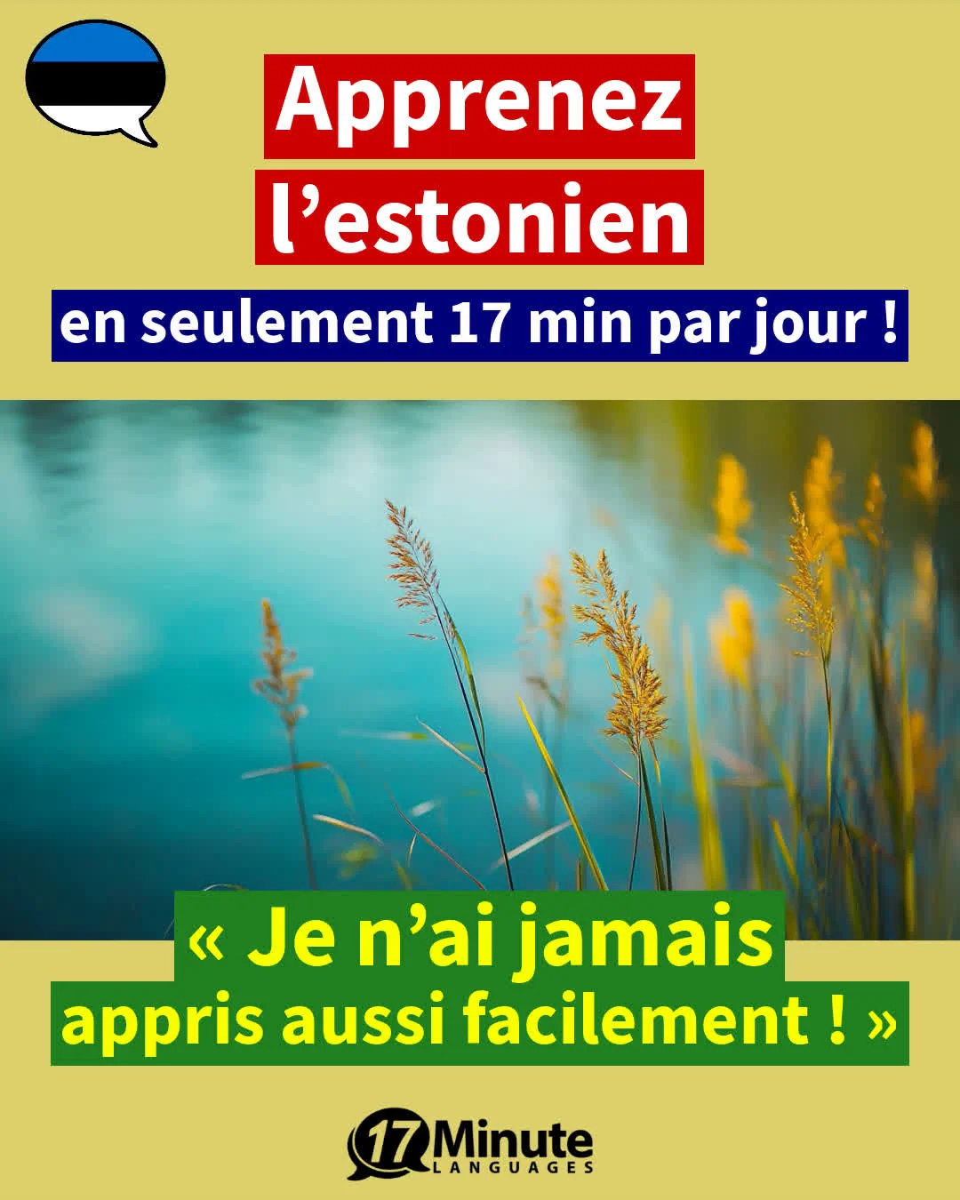 Apprendre l'estonien niveau intermédiaire : parlez couramment l'estonien avec le cours avancé – apprentissage quotidien