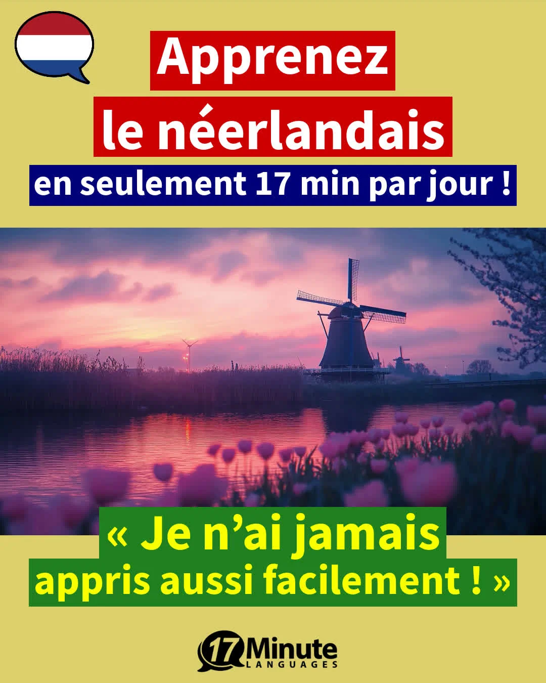Apprenez le néerlandais nettement plus efficacement qu'avec les méthodes d'enseignement traditionnelles, et ce, en seulement 17 minutes par jour ! – apprentissage quotidien