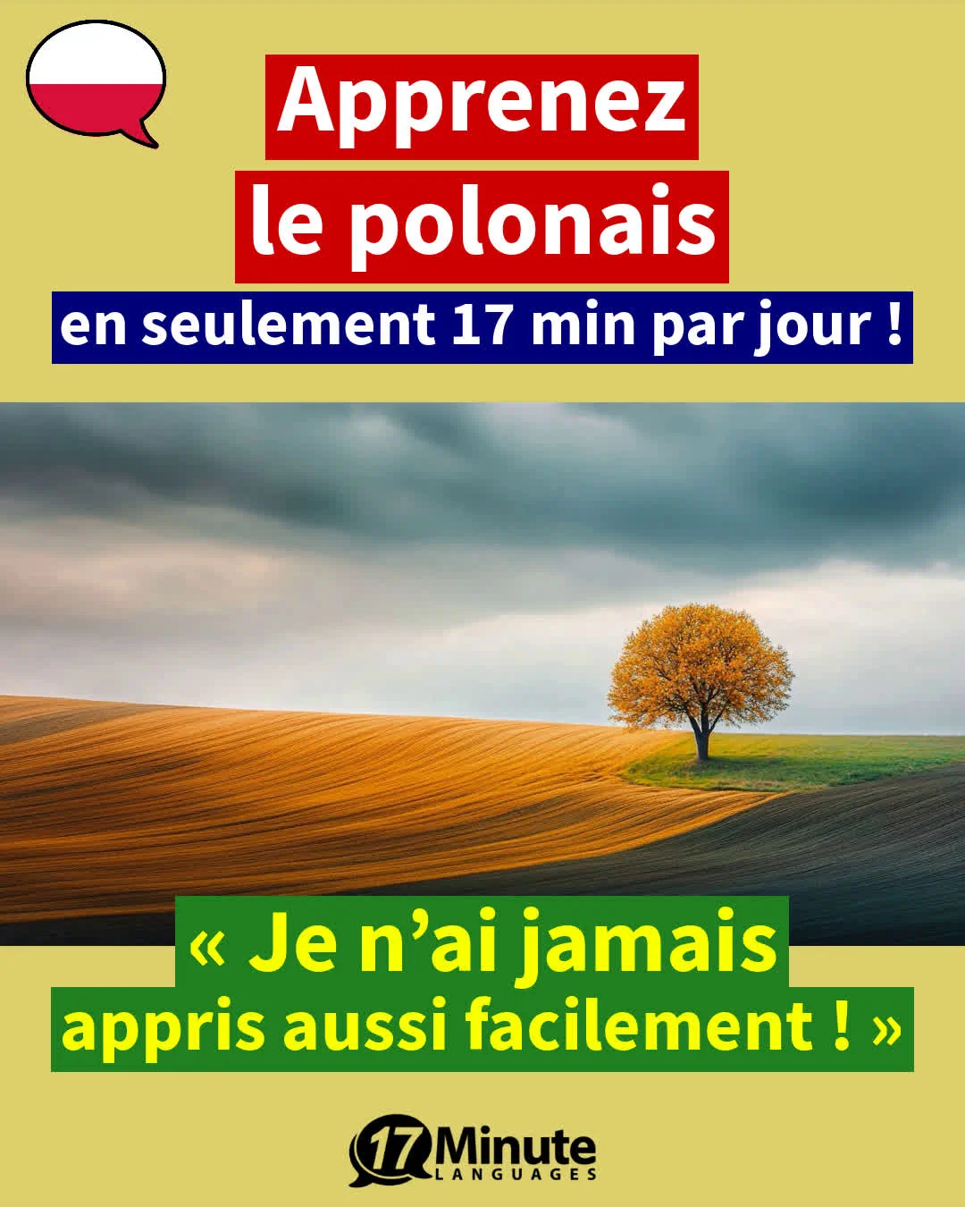 Apprendre le polonais niveau intermédiaire : parlez couramment le polonais avec le cours avancé – apprentissage quotidien