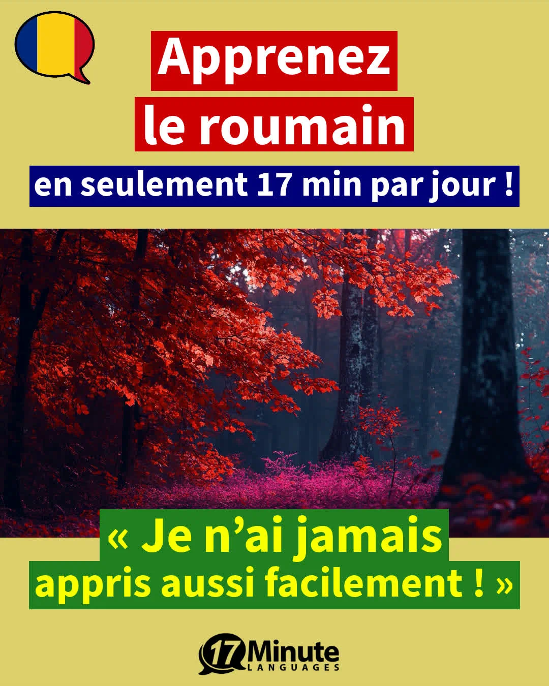 Apprenez le roumain nettement plus efficacement qu'avec les méthodes d'enseignement traditionnelles, et ce, en seulement 17 minutes par jour ! – apprentissage quotidien