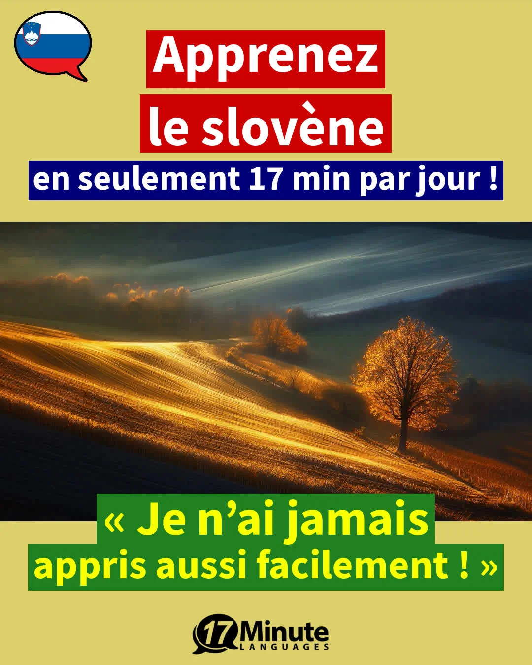 Avec ce programme d'entraînement au vocabualaire spécialisé, vous apprenez environ 2 100 mots de vocabulaire en slovène et atteignez le niveau d'un locuteur de langue maternelle slovène, C1-C2﻿ – apprentissage quotidien