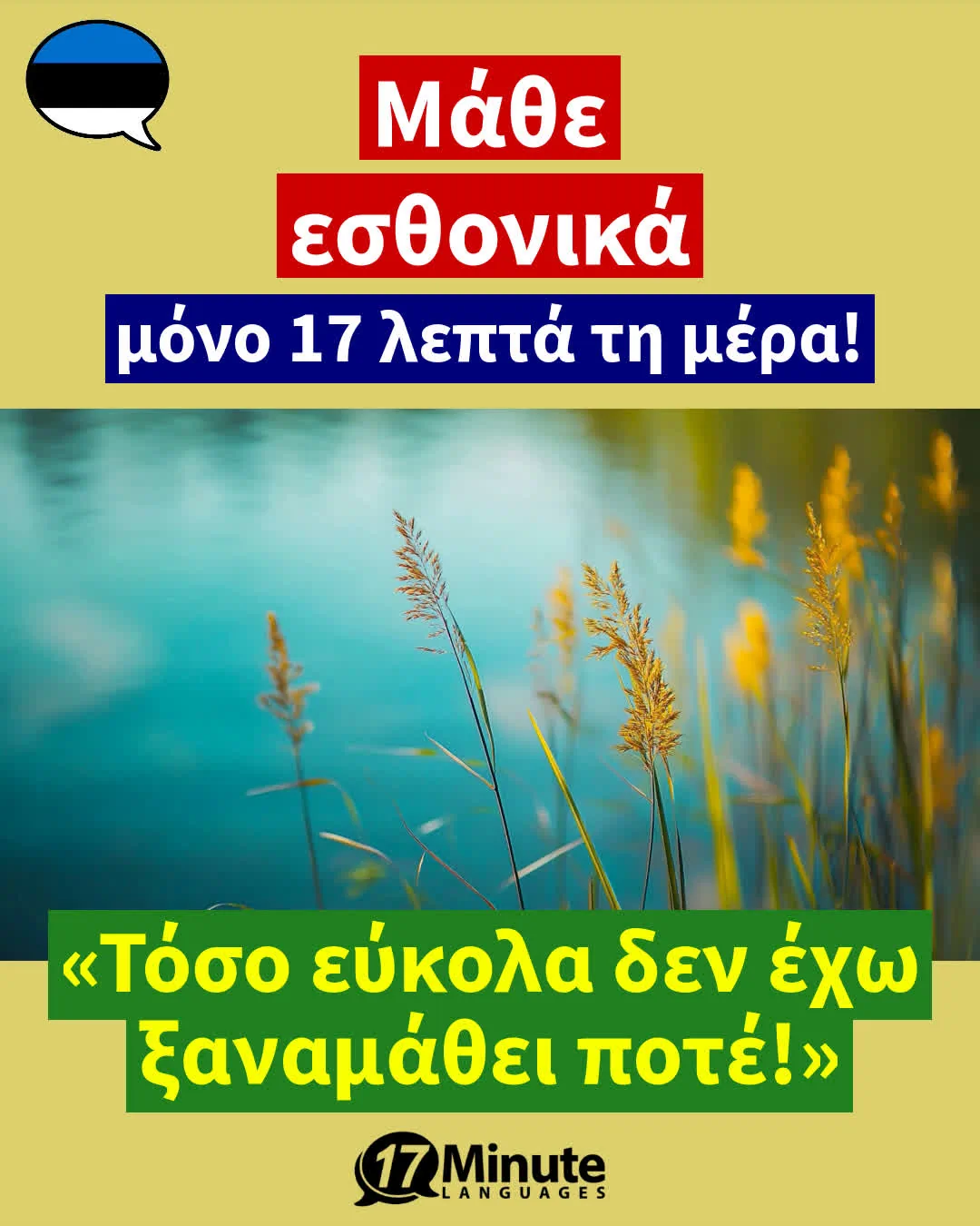 Εσθονικά για προχωρημένους: «Μάθετε να μιλάτε εσθονικά με ευχέρεια! – daily learning