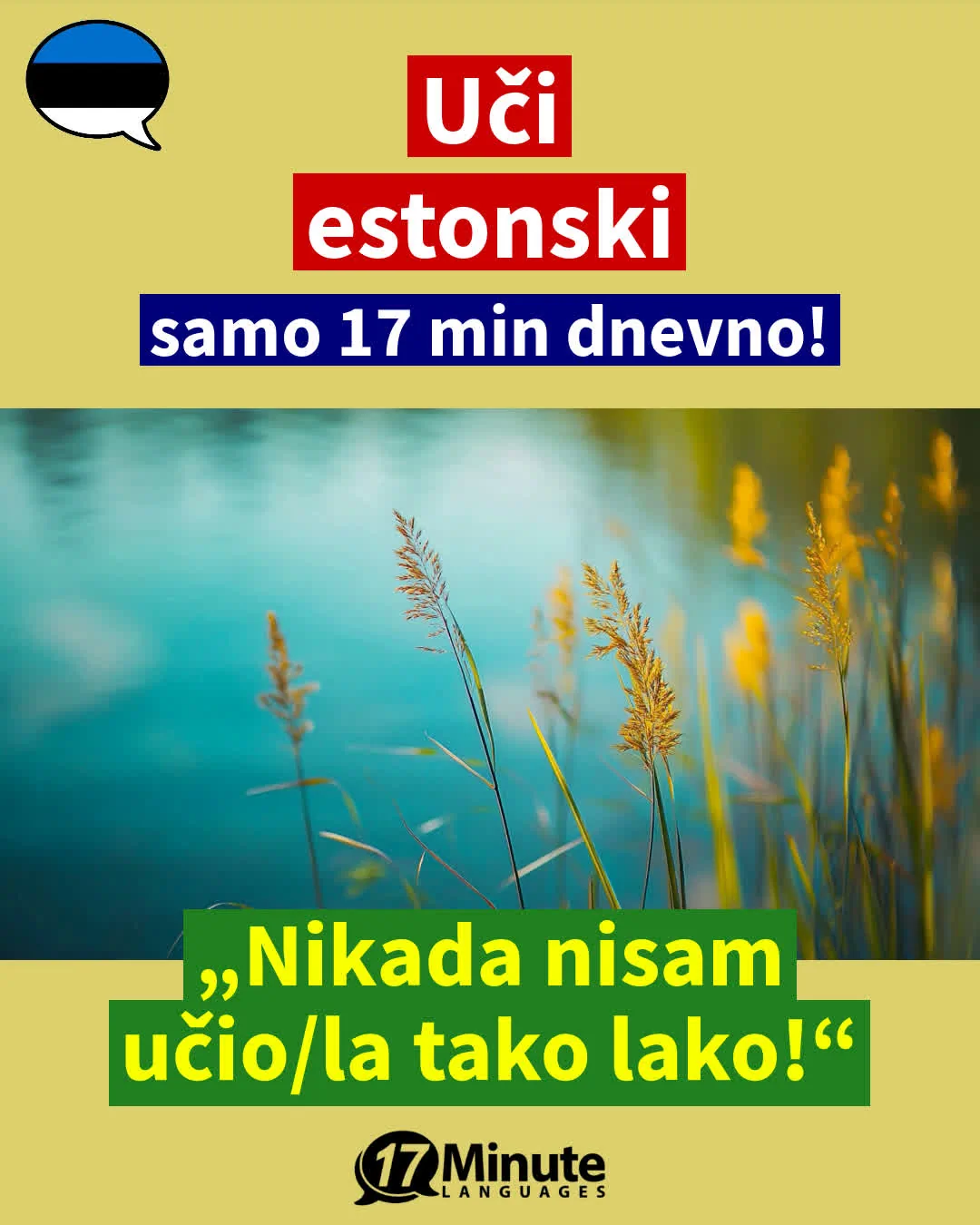 Učite estonski znatno brže, nego s konvencionalnim metodama učenja – uz samo 17 minuta učenja na dan! – daily learning