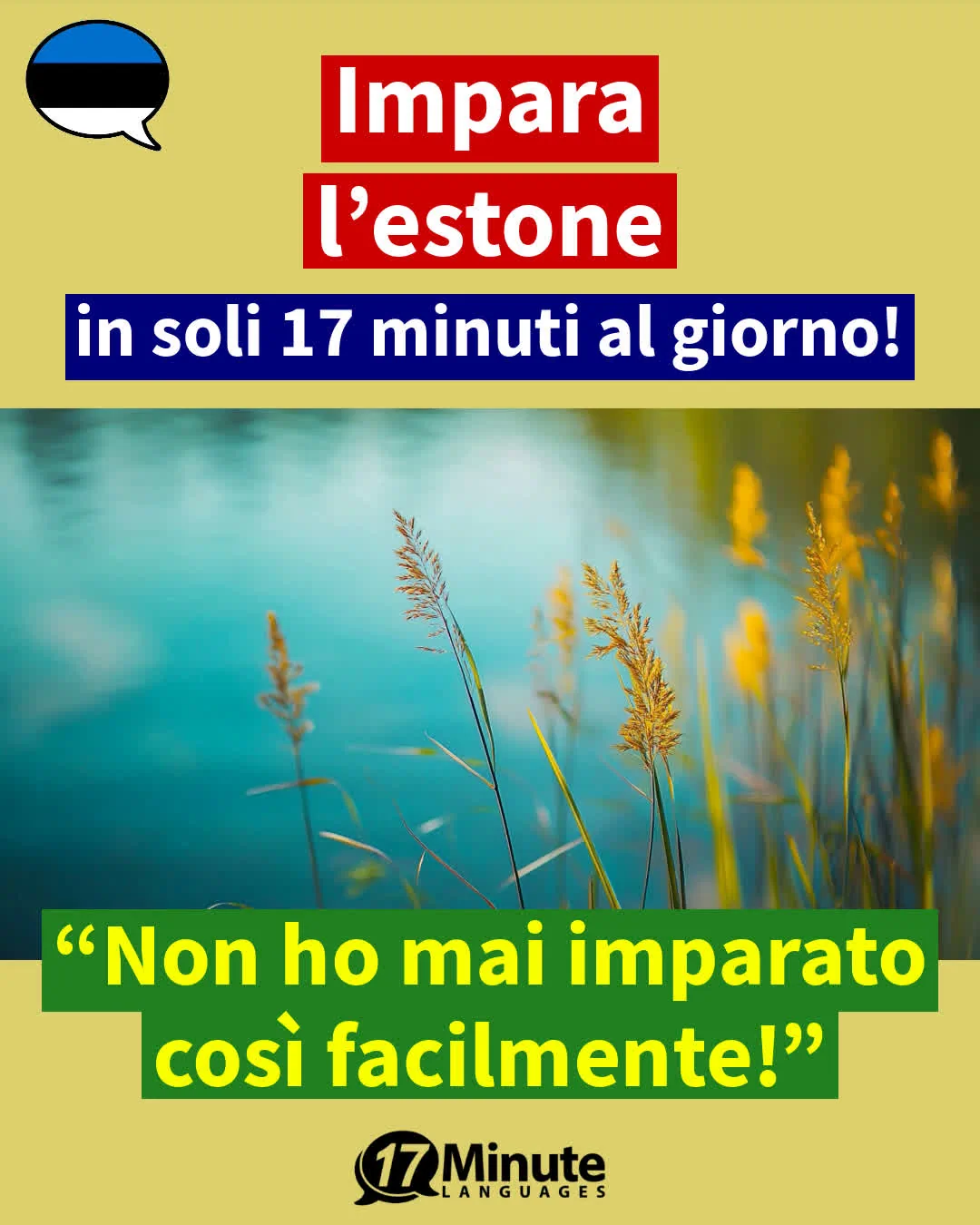 Glossario Tecnico di estone Livelli C1 e C2 – apprendimento quotidiano