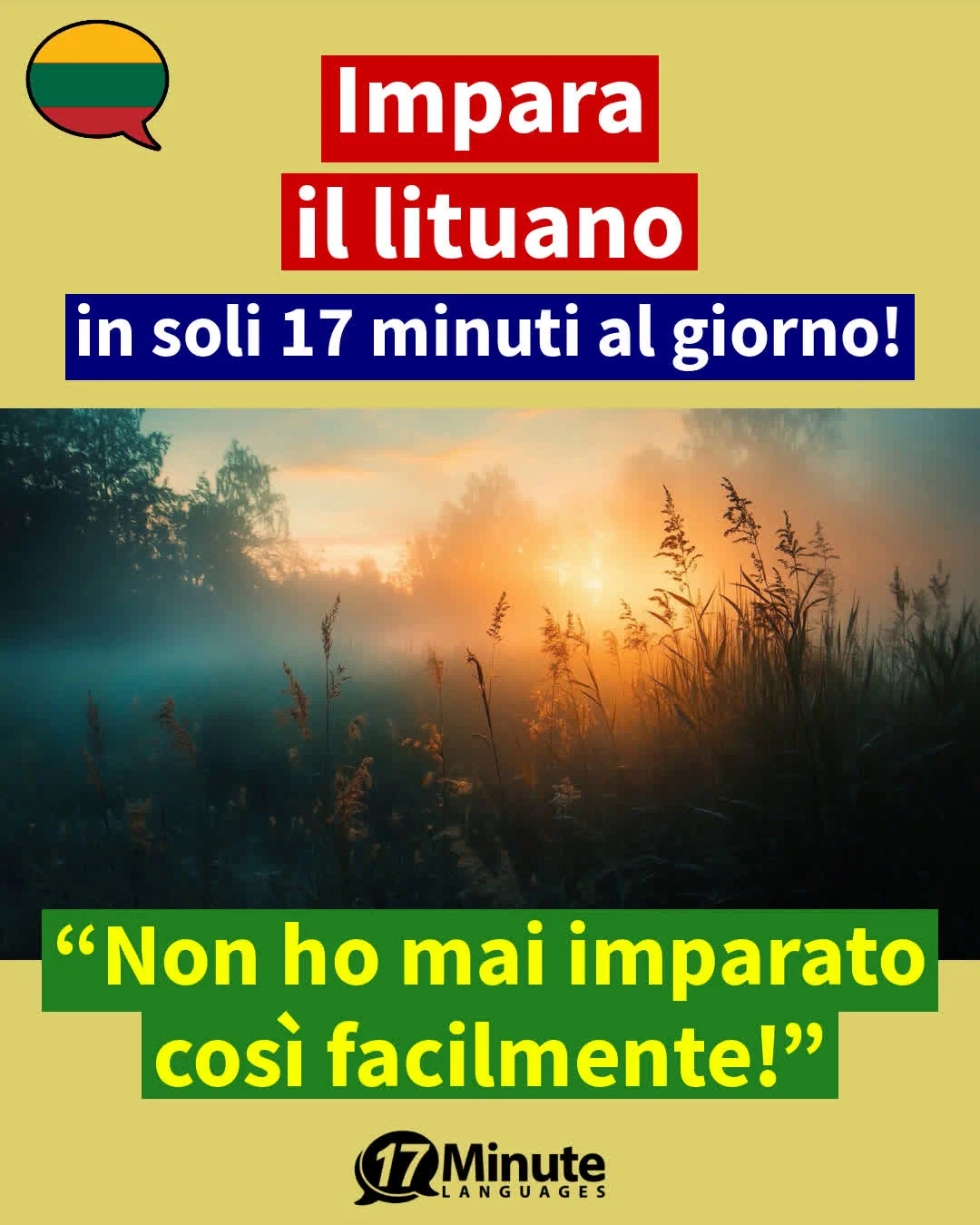 Corso business & lavoro di lituano (Livelli B2–C2 QCER) – apprendimento quotidiano