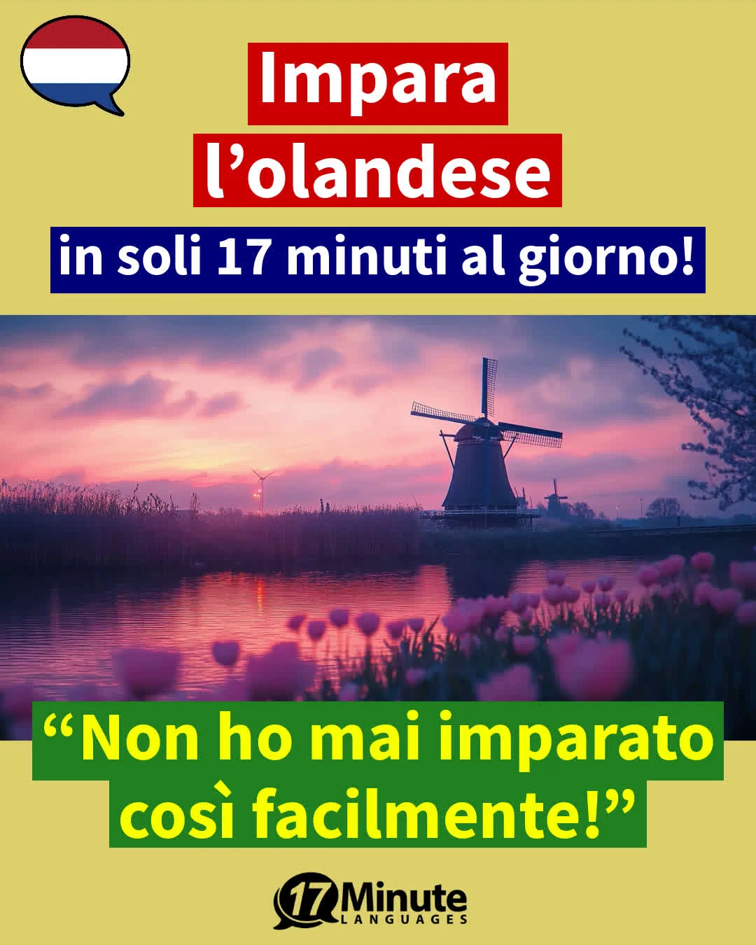 Impara l'olandese in un contesto preciso, concreto e velocemente – il corso è suddiviso in tematiche specifiche per il vocabolario della gastronomia e del turismo. – apprendimento quotidiano