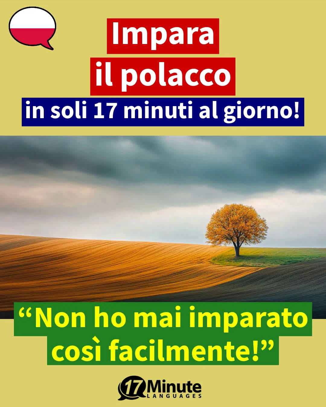 Corso business & lavoro di polacco (Livelli B2–C2 QCER) – apprendimento quotidiano