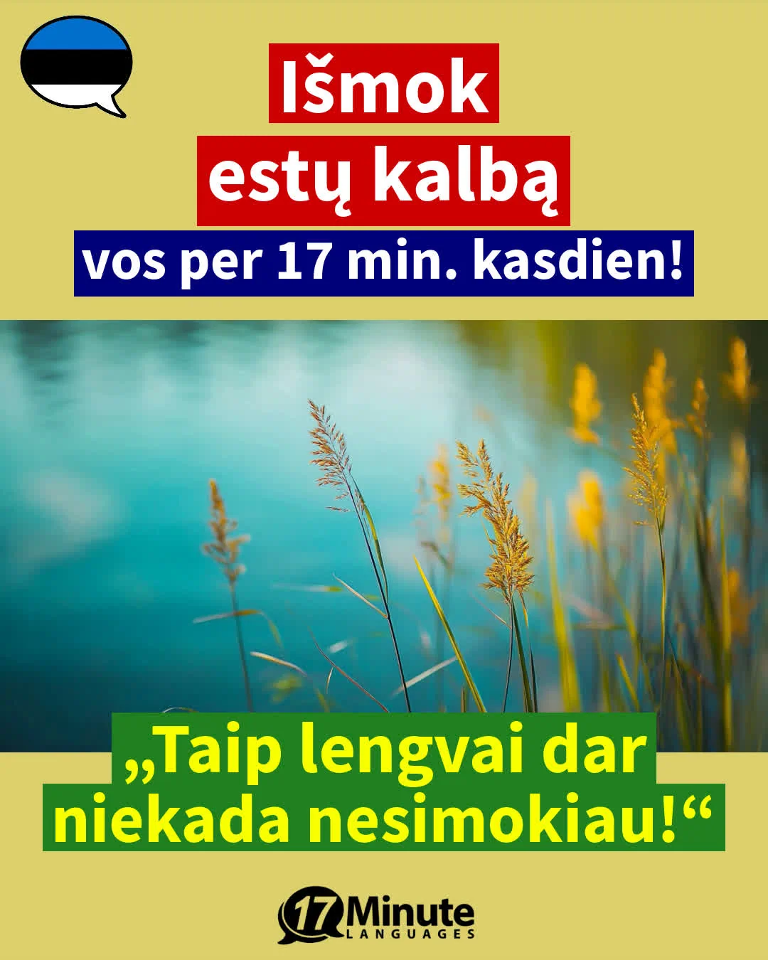 Idealus pasiruošimas tiems, kurie nori vykti į estijoje dirbti aukle. – daily learning