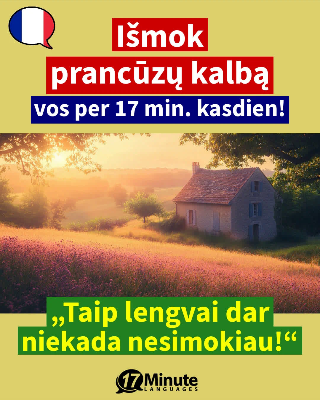 Mokytis prancūzų kalbą pažengusiems: Išmokite laisvai kalbėti prancūzų kalba mūsų kurso pagalba! – daily learning