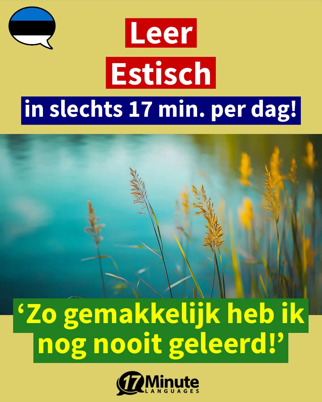 Estisch-Businesscursus + B2-C2 + zonder abonnement (2026) – dagelijks leren