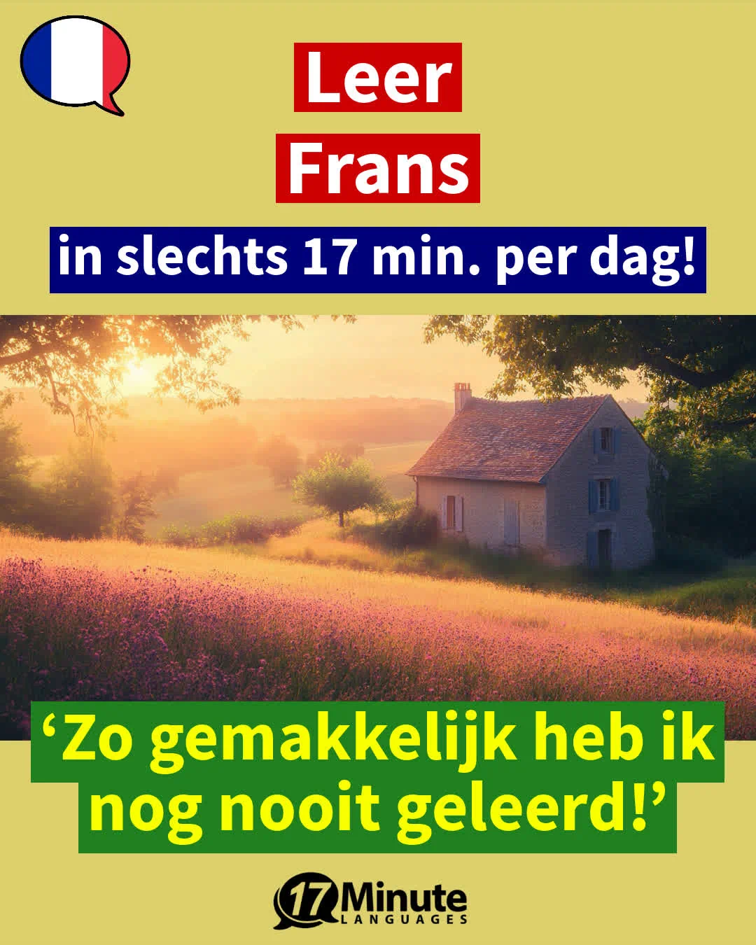 Frans-Businesscursus + B2-C2 + zonder abonnement (2026) – dagelijks leren