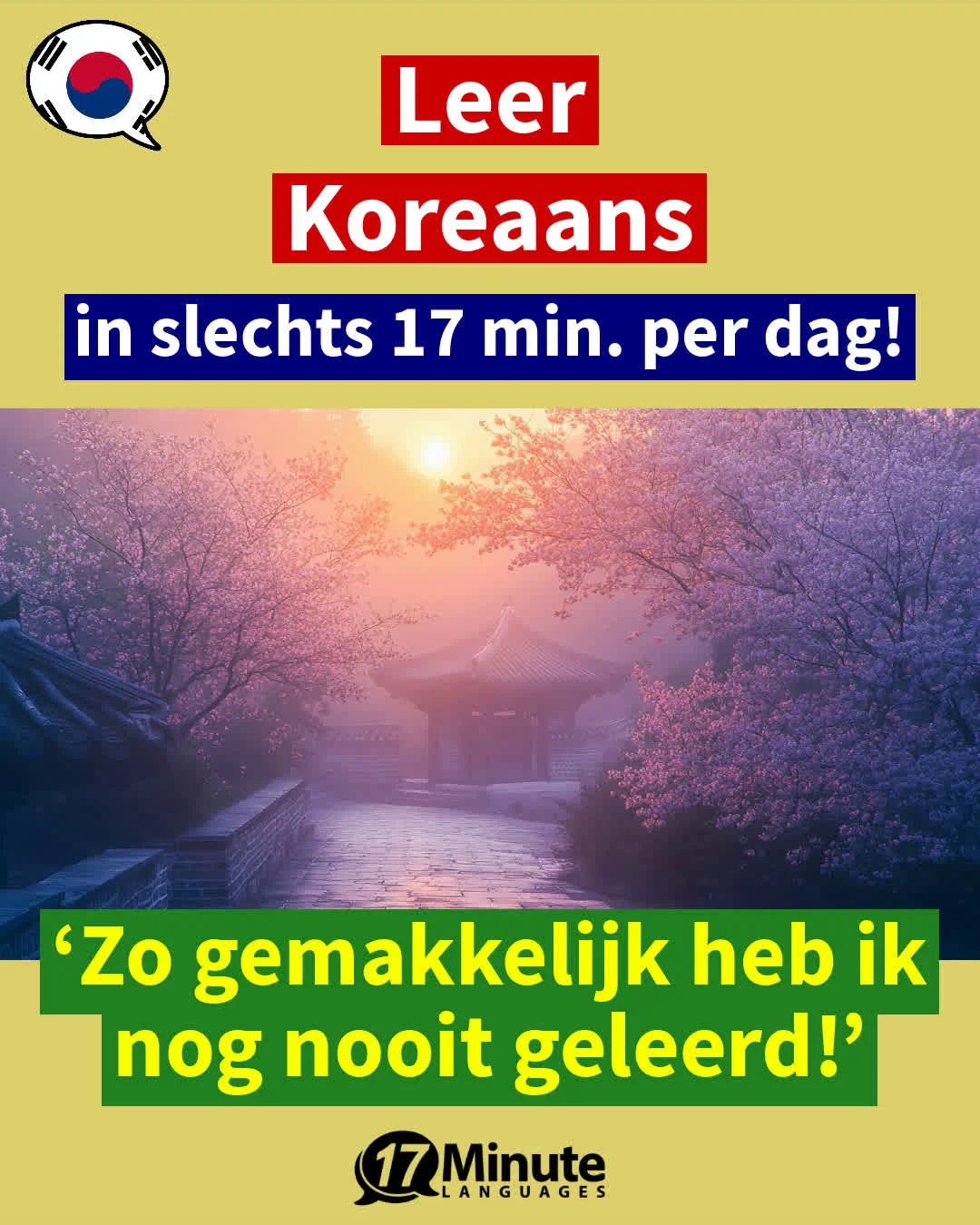 Koreaans leren voor gevorderden: Leer vloeiend Koreaans spreken met deze cursus! – dagelijks leren