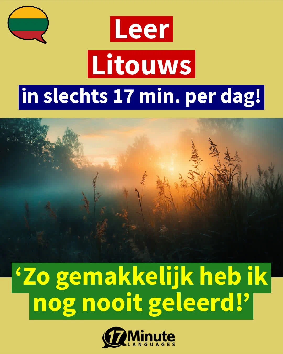 Met deze vakwoordenschat-trainer leert u meer dan 2.100 woorden In het Litouws en bereikt u het niveau van een moedertaalspreker C1/C2! – dagelijks leren