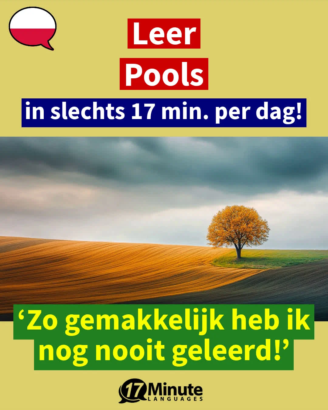 Met deze vakwoordenschat-trainer leert u meer dan 2.100 woorden In het Pools en bereikt u het niveau van een moedertaalspreker C1/C2! – dagelijks leren