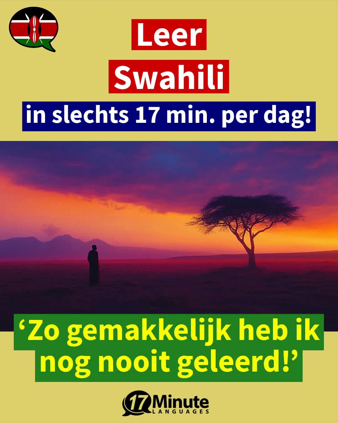 Swahili-Businesscursus + B2-C2 + zonder abonnement (2026) – dagelijks leren