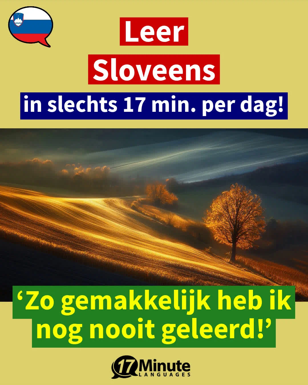 Sloveens-Businesscursus + B2-C2 + zonder abonnement (2026) – dagelijks leren