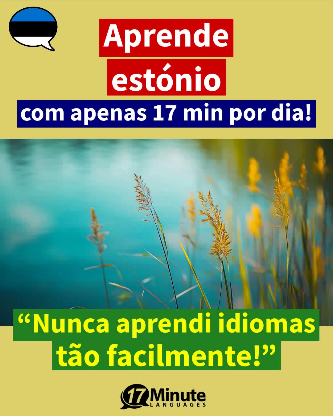 Aprender estónio nível intermédio: Fale estónio fluentemente com o curso intermédio! – aprendizagem diária