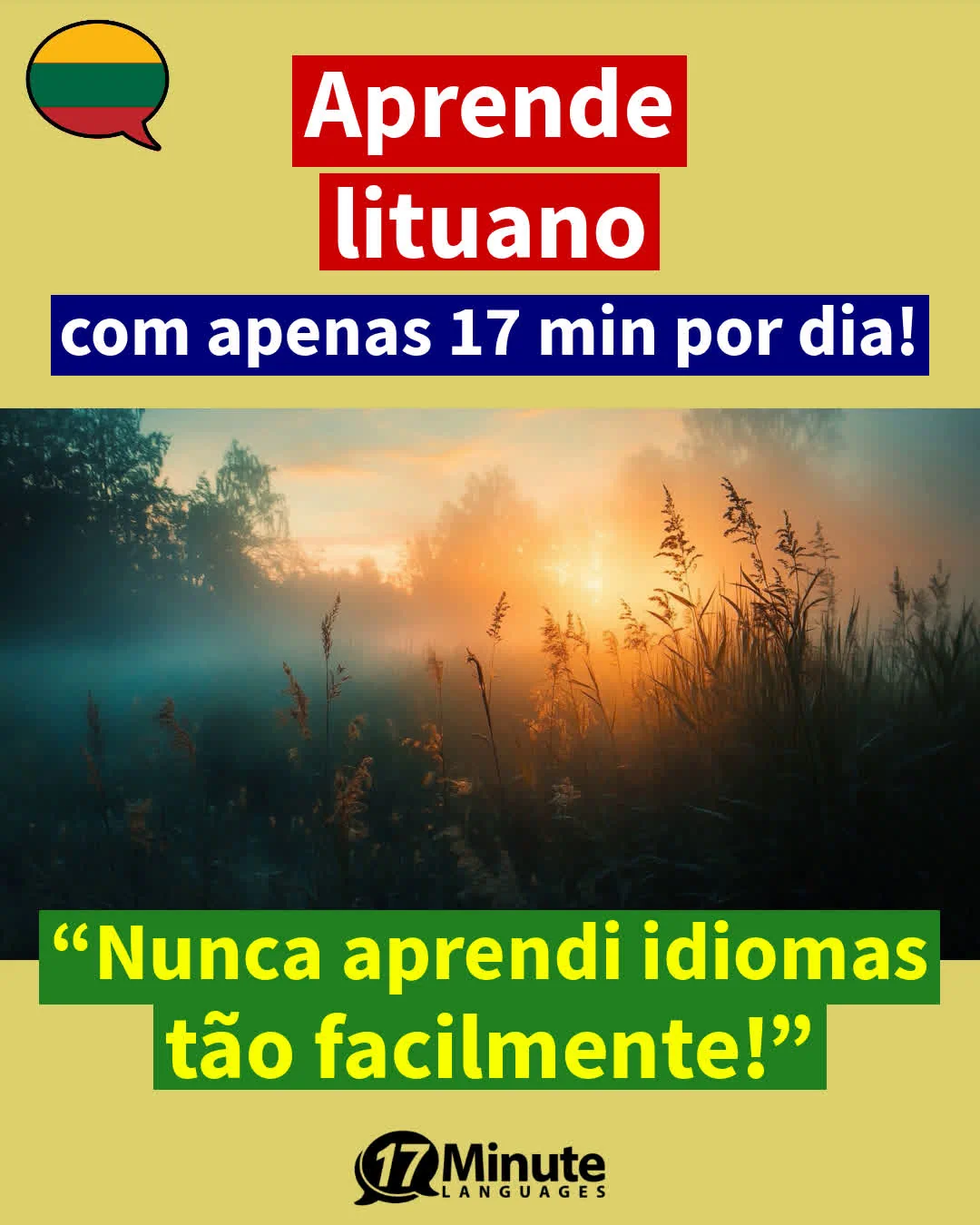 Com este treinador de vocabulário avançado aprenderá mais de 2100 palavras em lituano e atingirá o nível de um falante nativo C1/C2 – aprendizagem diária