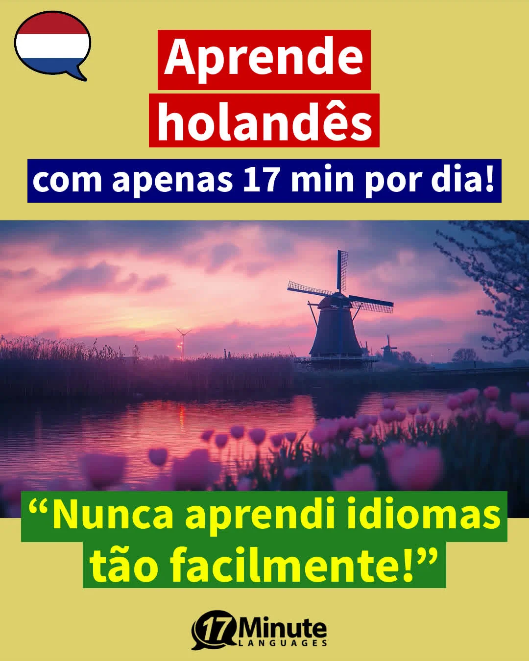Com este treinador de vocabulário avançado aprenderá mais de 2100 palavras em holandês e atingirá o nível de um falante nativo C1/C2 – aprendizagem diária