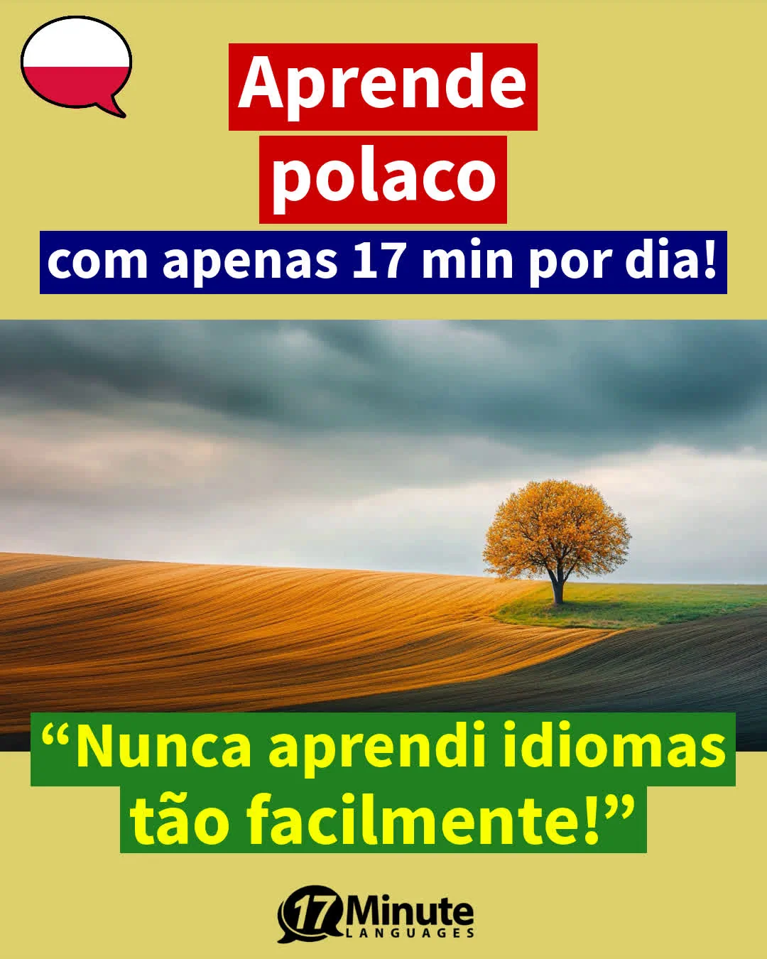 Aprenda polaco de forma eficiente a partir de temas relacionados à gastronomia e ao turismo! – aprendizagem diária
