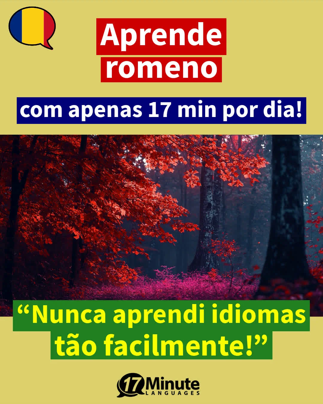 Romeno para negócios a nível empresarial! – aprendizagem diária