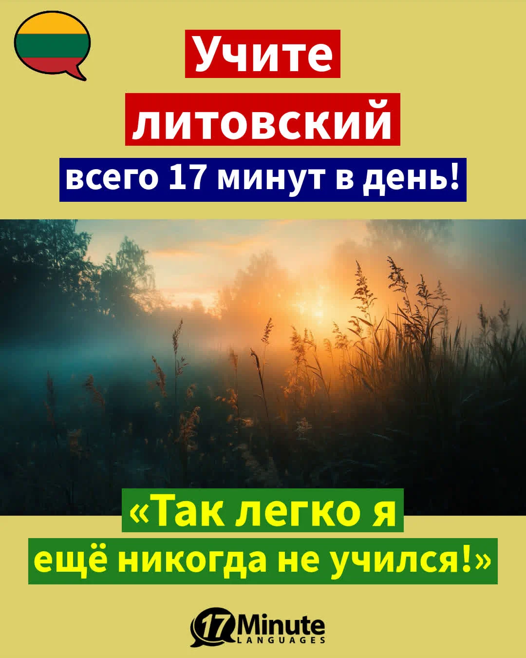 Незаменимый помощник для тех, кто планирует переехать в Литву. – ежедневное обучение