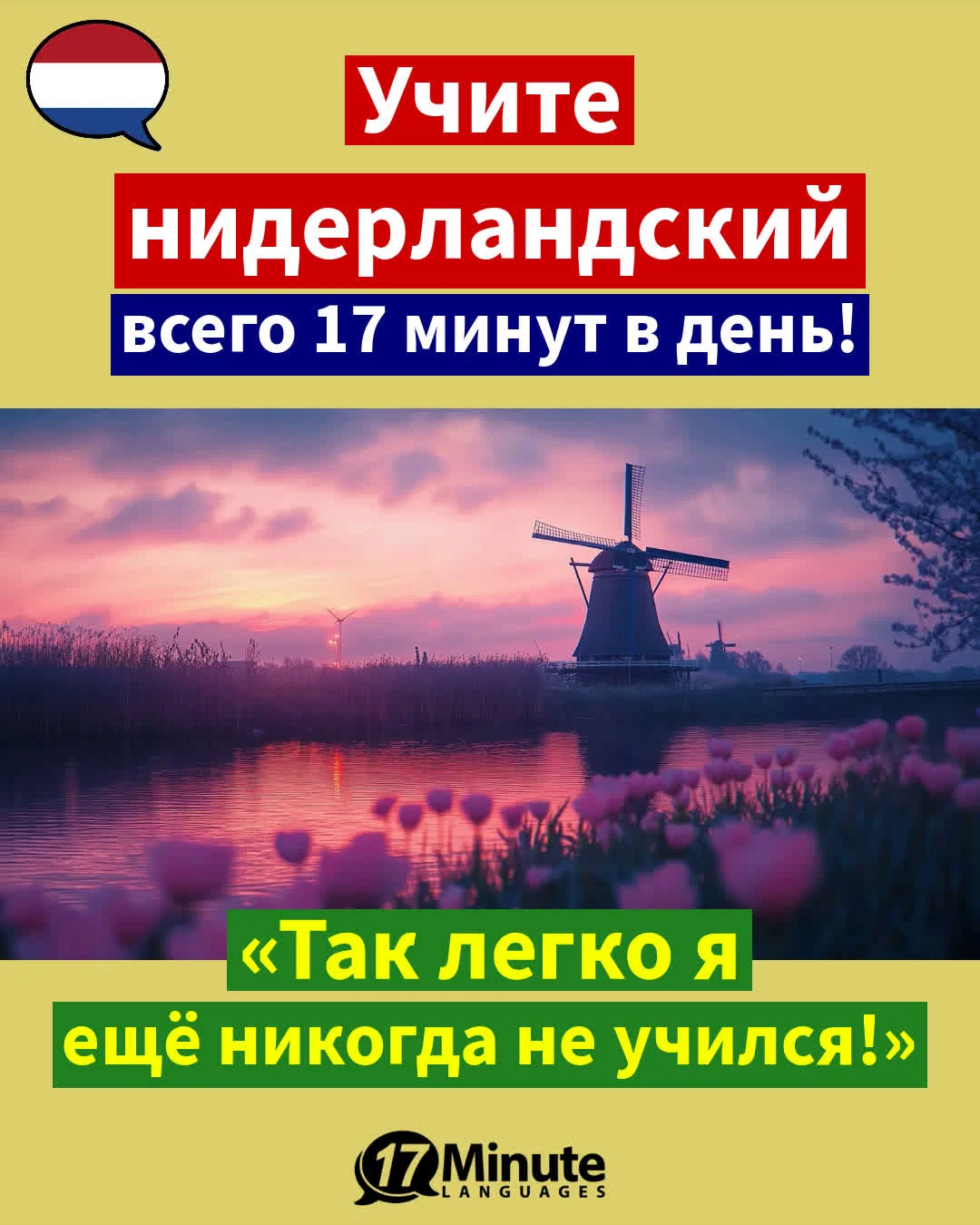 Научитесь свободно говорить по-нидерландски, занимаясь по продвинутому курсу! – ежедневное обучение