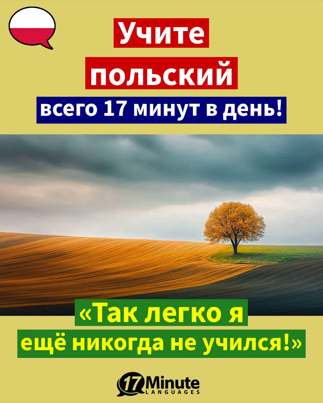 Занимаясь по этому курсу, вы подготовитесь к жизни в Польше». – ежедневное обучение