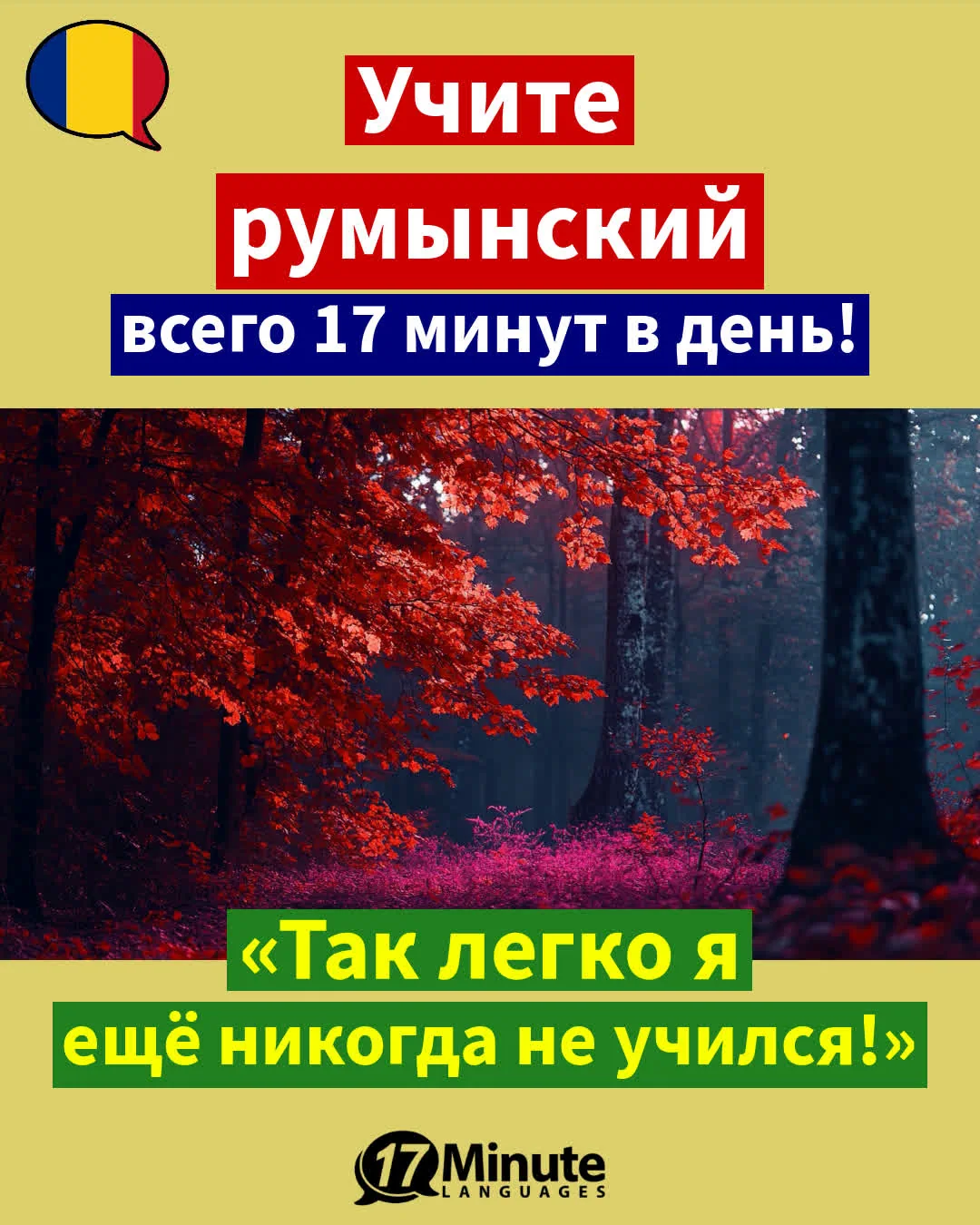 Научитесь свободно говорить по-румынски, занимаясь по продвинутому курсу! – ежедневное обучение