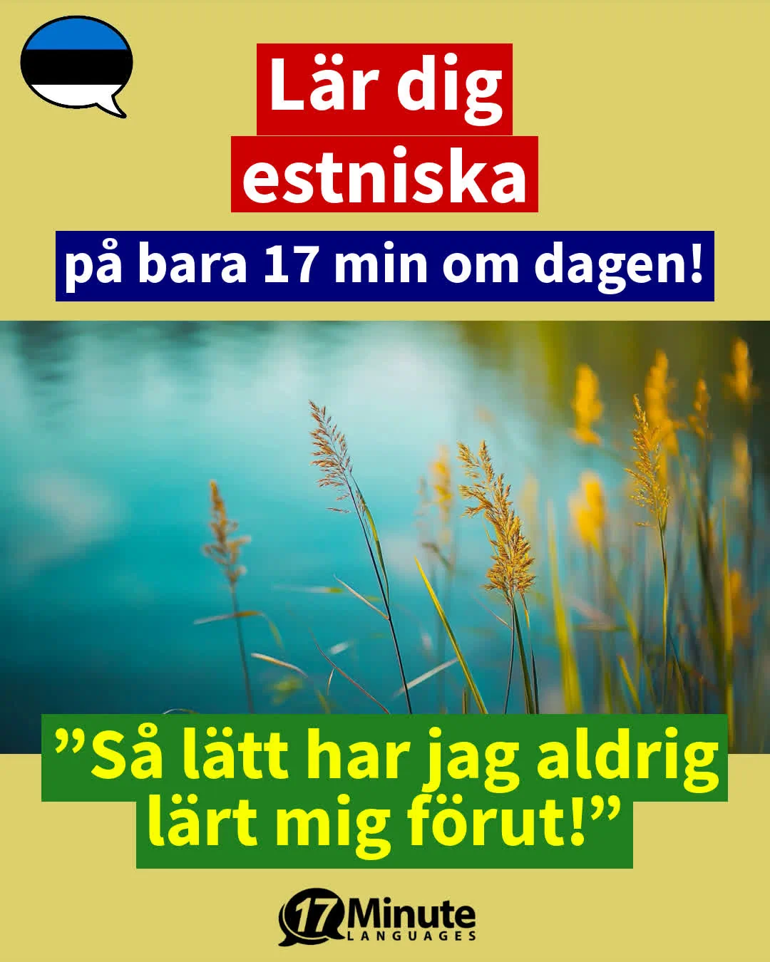 Lär dig estniska mycket snabbare än med konventionella inlärningsmetoder – på bara 17 minuter per dag! – daily learning