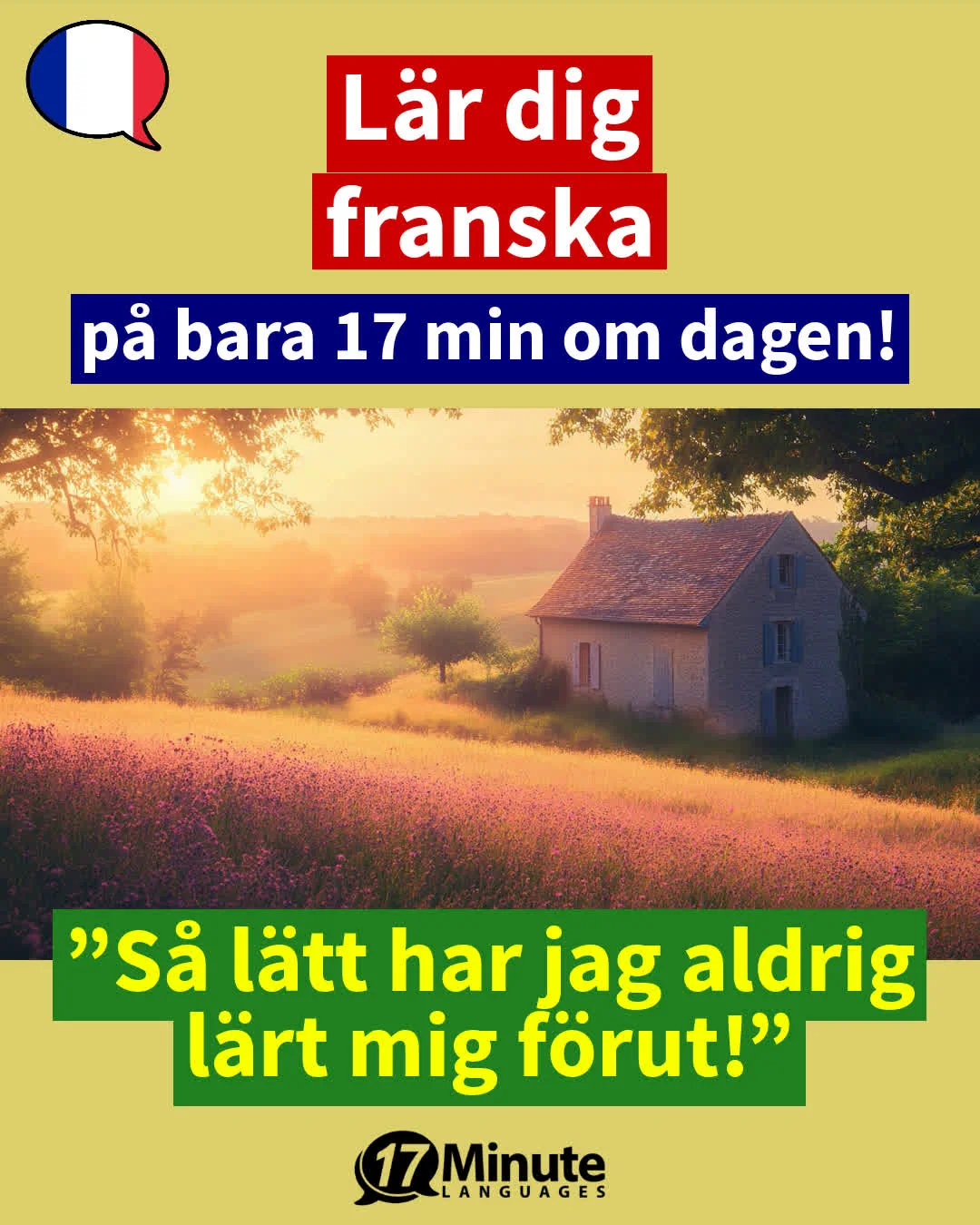 Lär dig franska på avancerad nivå: Tala franska flytande med fortsättningskursen! – daily learning