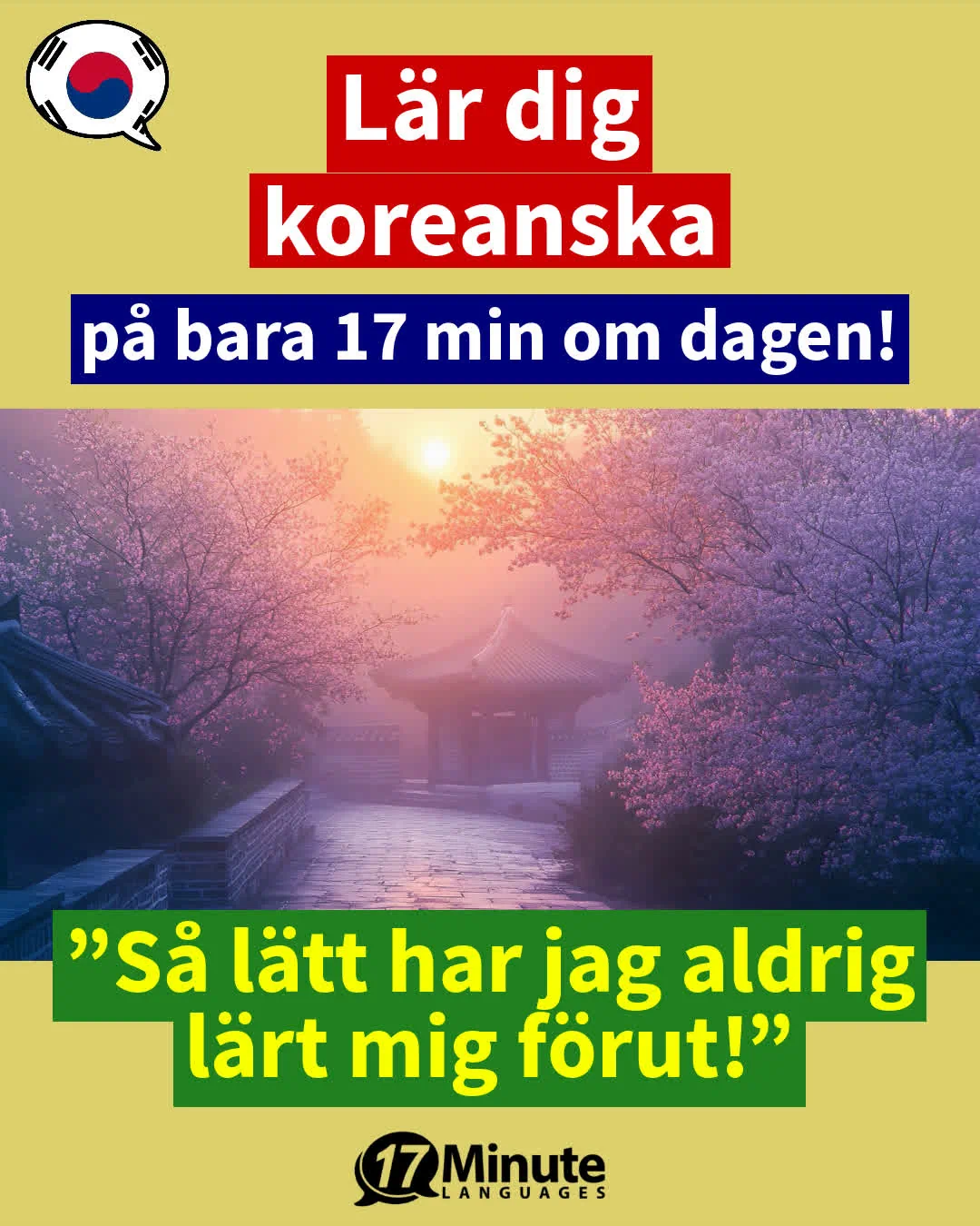 Lär dig koreanska på avancerad nivå: Tala koreanska flytande med fortsättningskursen! – daily learning