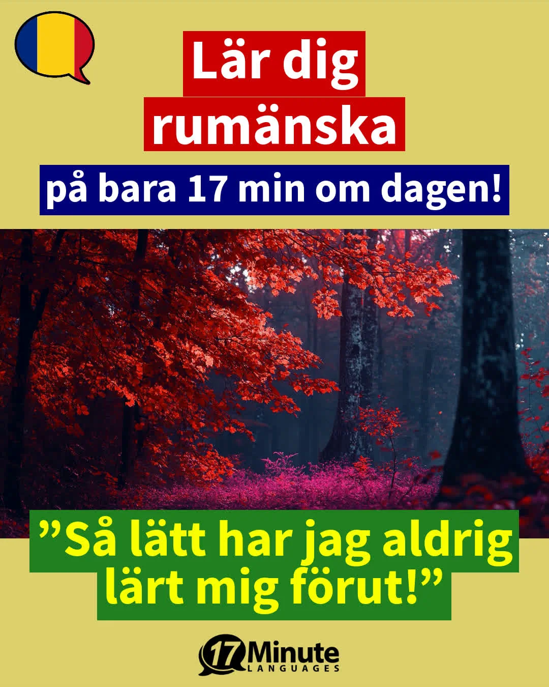 Lär dig förhandlingssäker business-rumänska! – daily learning