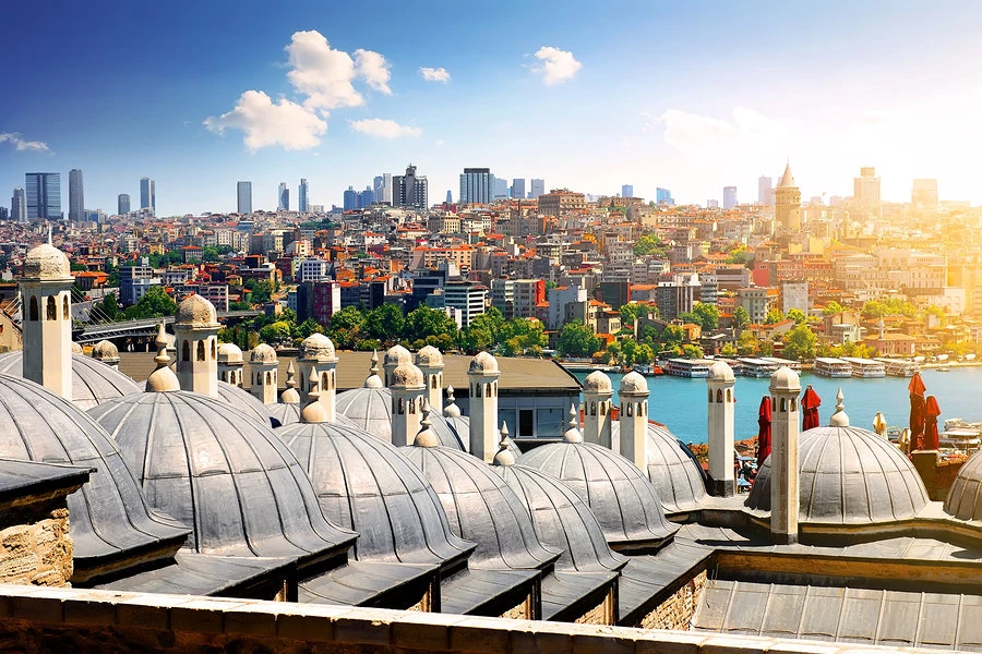 Learn over 2,100 words with this technical vocabulary trainer in Turkish and reach the level of a native speaker C1/C2 – 1